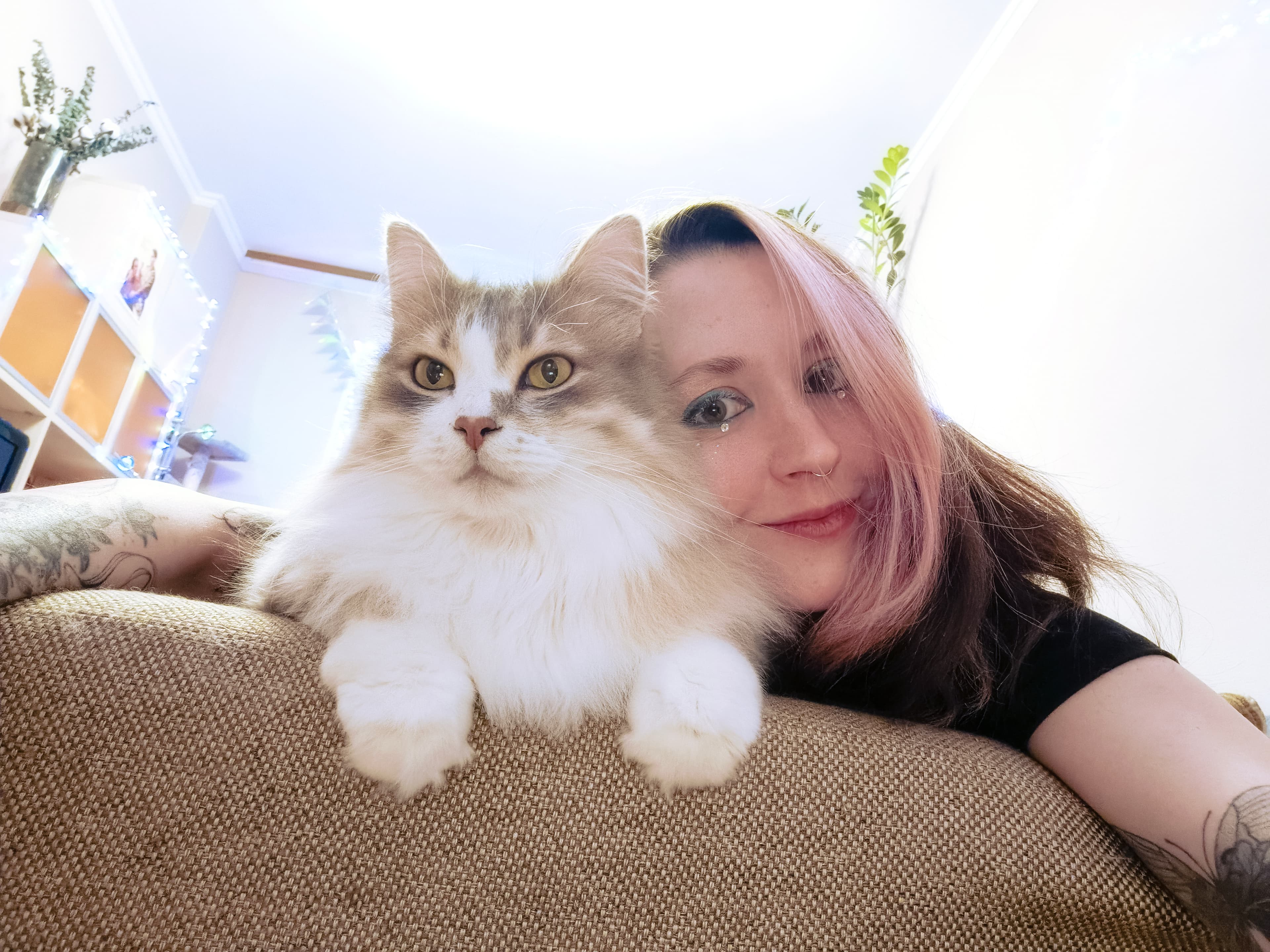 slide-3f7dc8d8-7828-46d5-baaf-c9632074c6a7