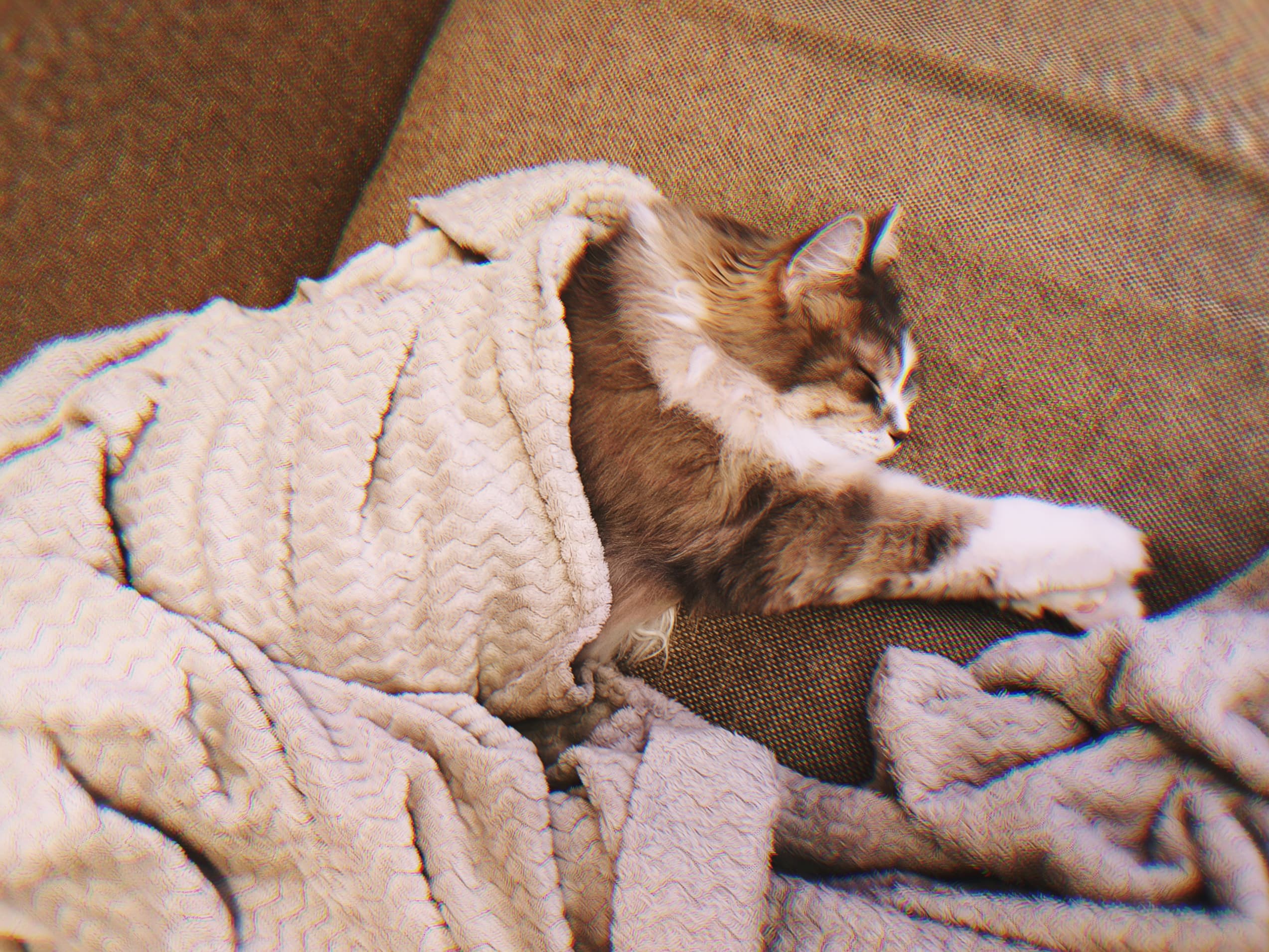 slide-4137bcaf-7671-4e43-b003-f6fb2e3319e3