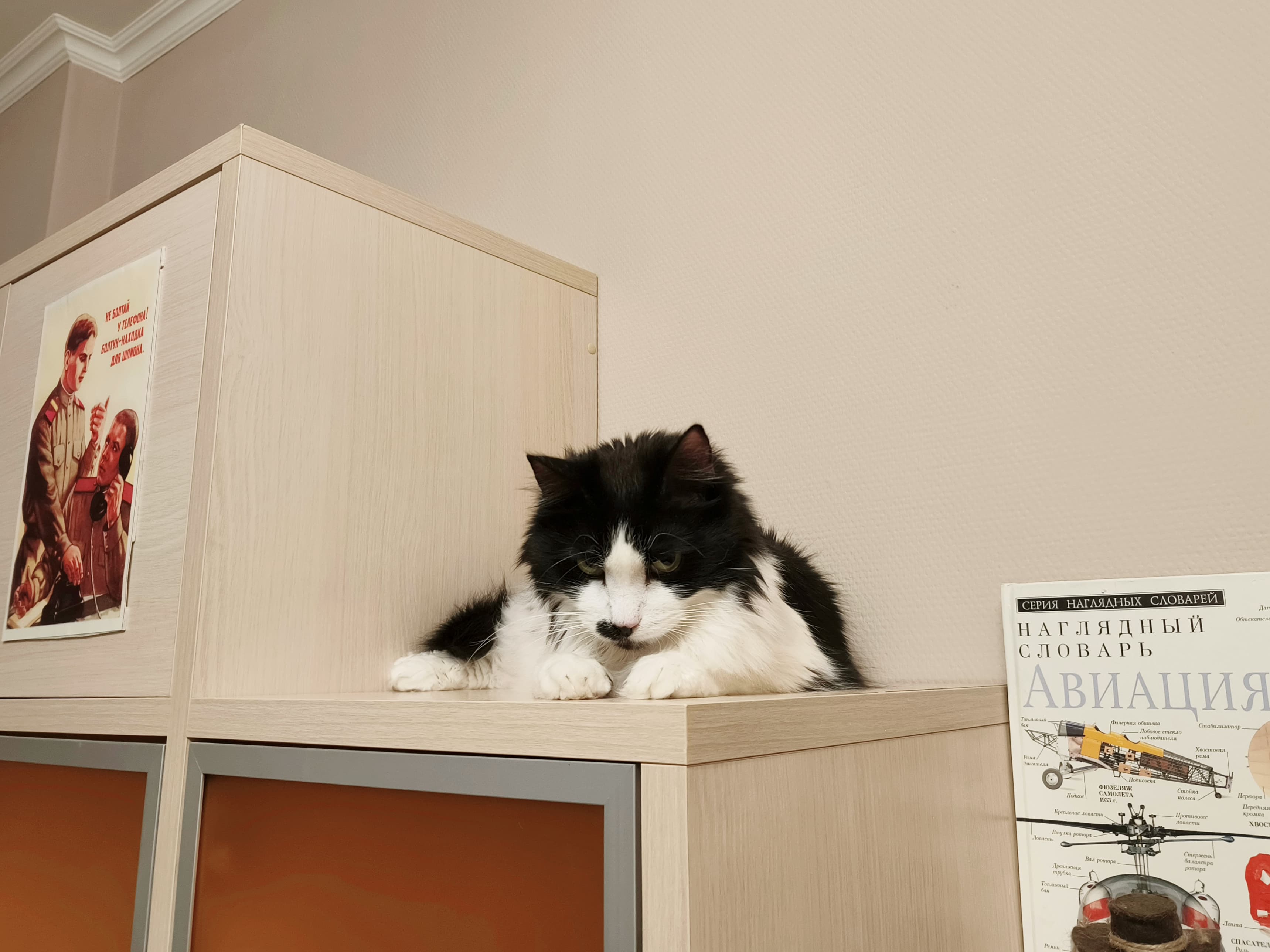 slide-41605eb2-b31c-47d2-80b6-f406174f2edb