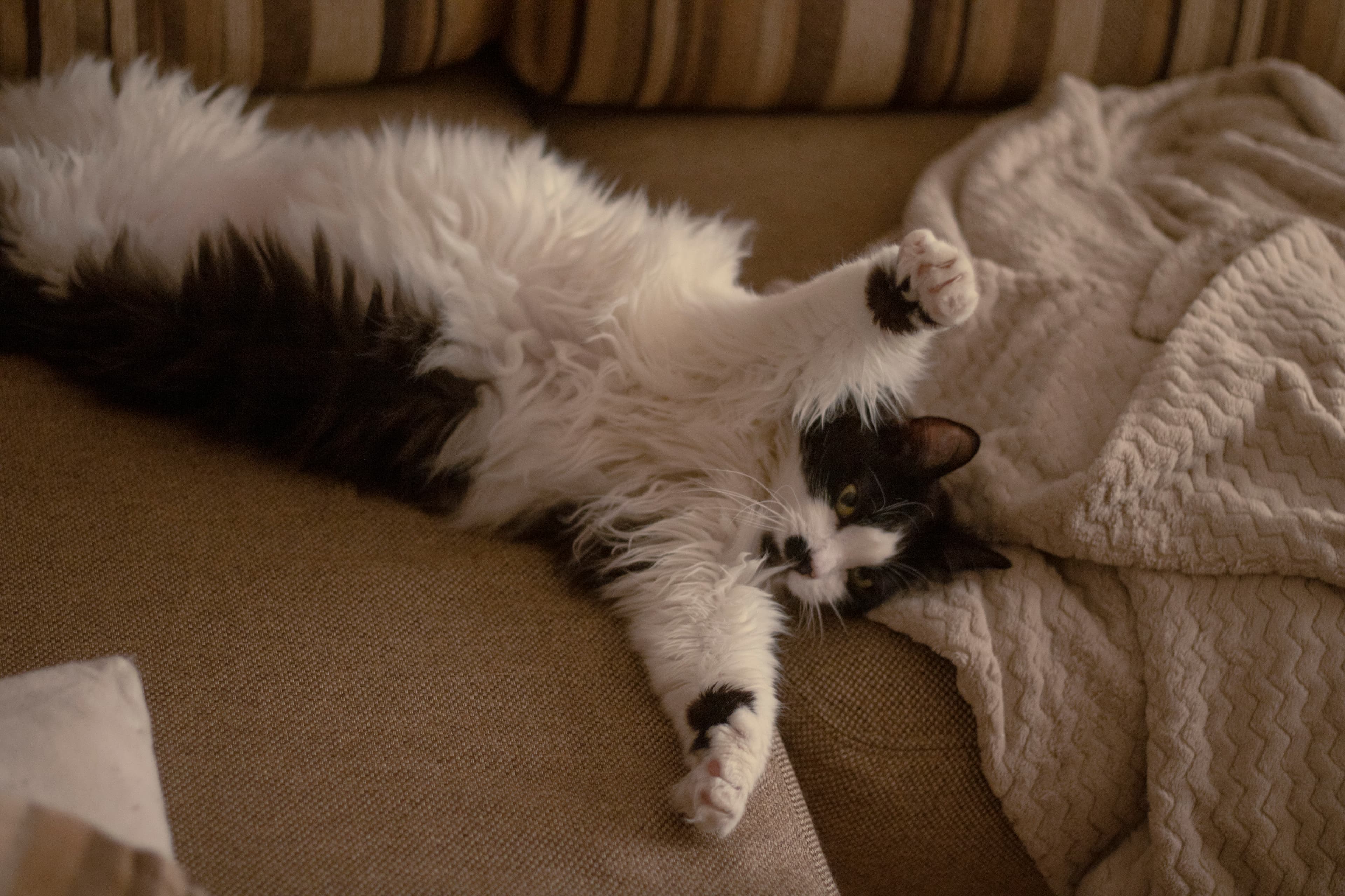 slide-41b4cdcf-c570-4c76-88bc-06765f9e0219