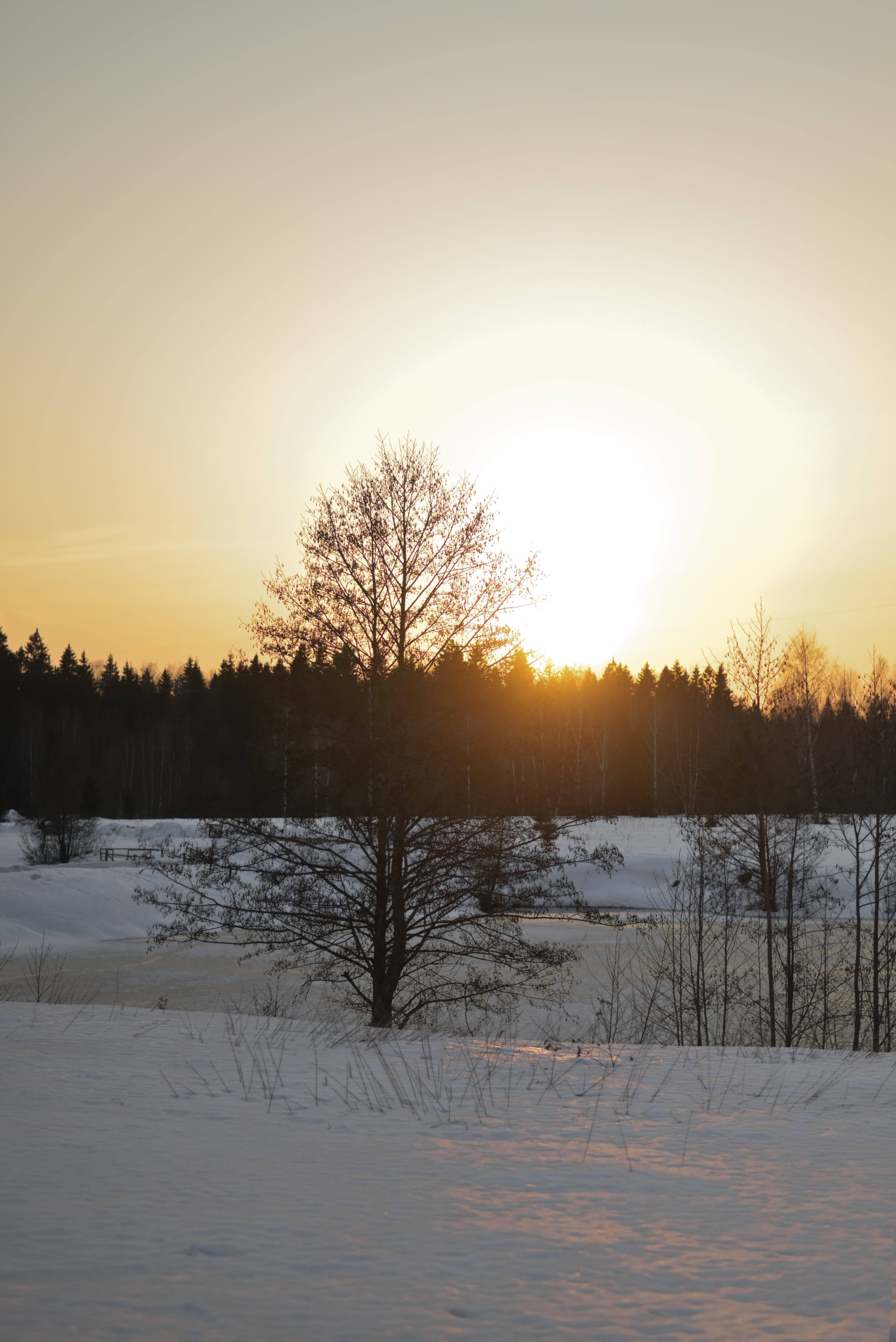 slide-4619a2fb-89bc-4424-8508-5f67b7793ae3