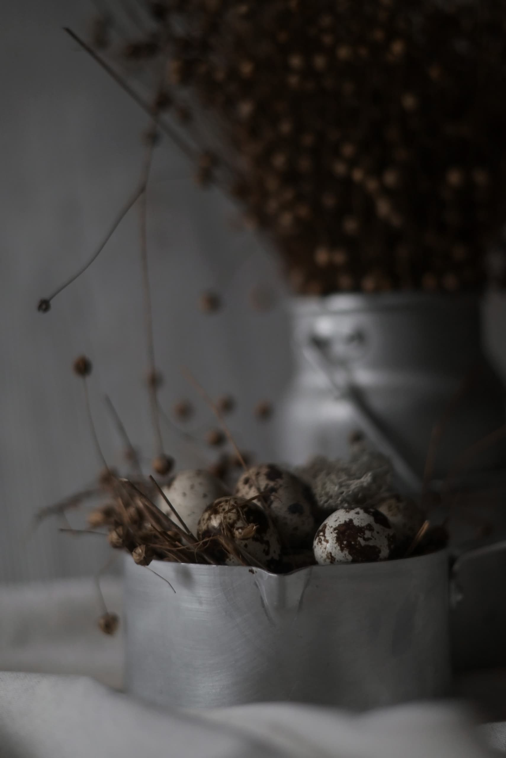 slide-48771c89-69dd-484d-b449-cb9685d9ab8f