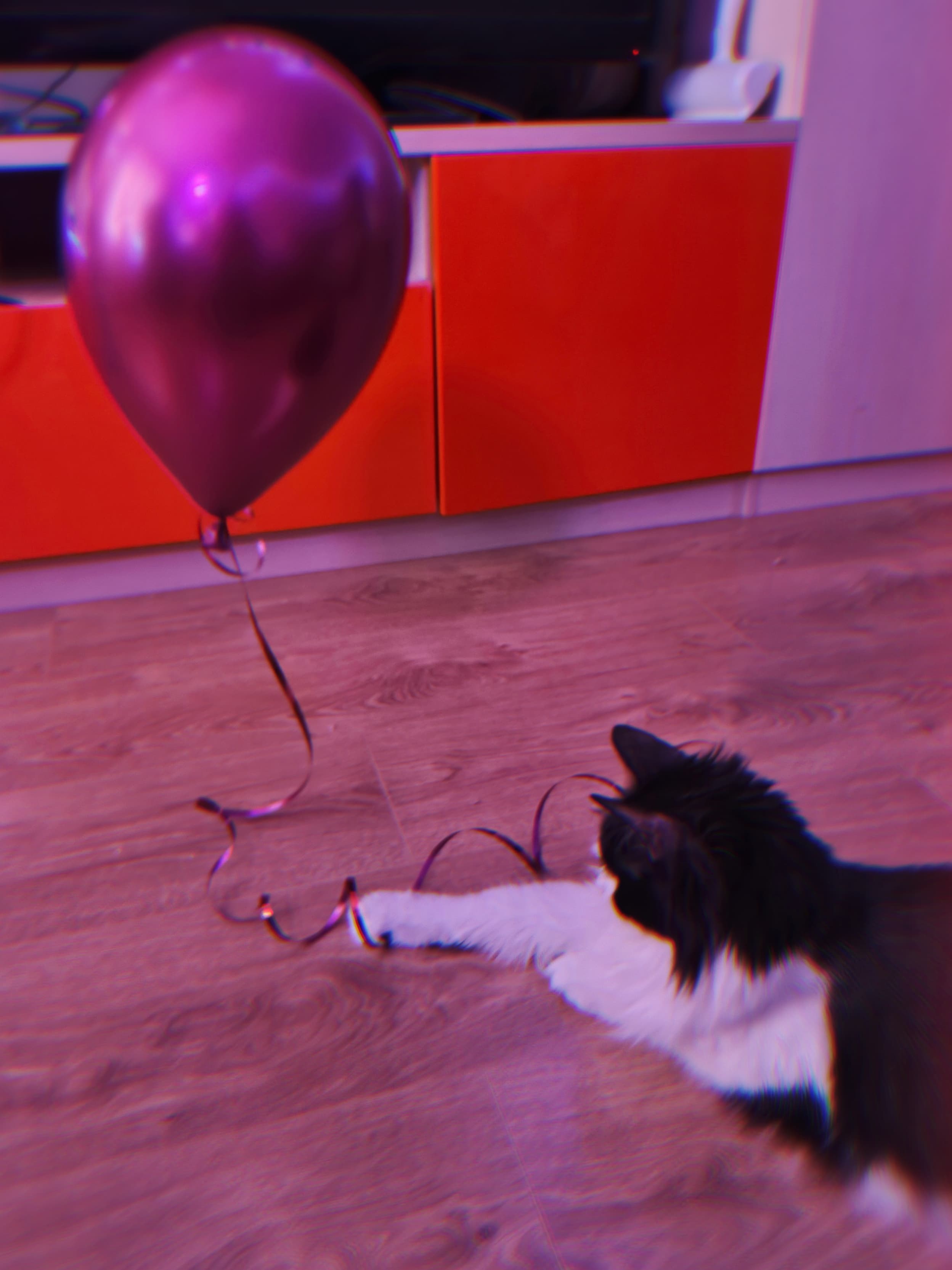 slide-4cc8ea64-215b-4542-9dd5-42ac6bdbc6c3