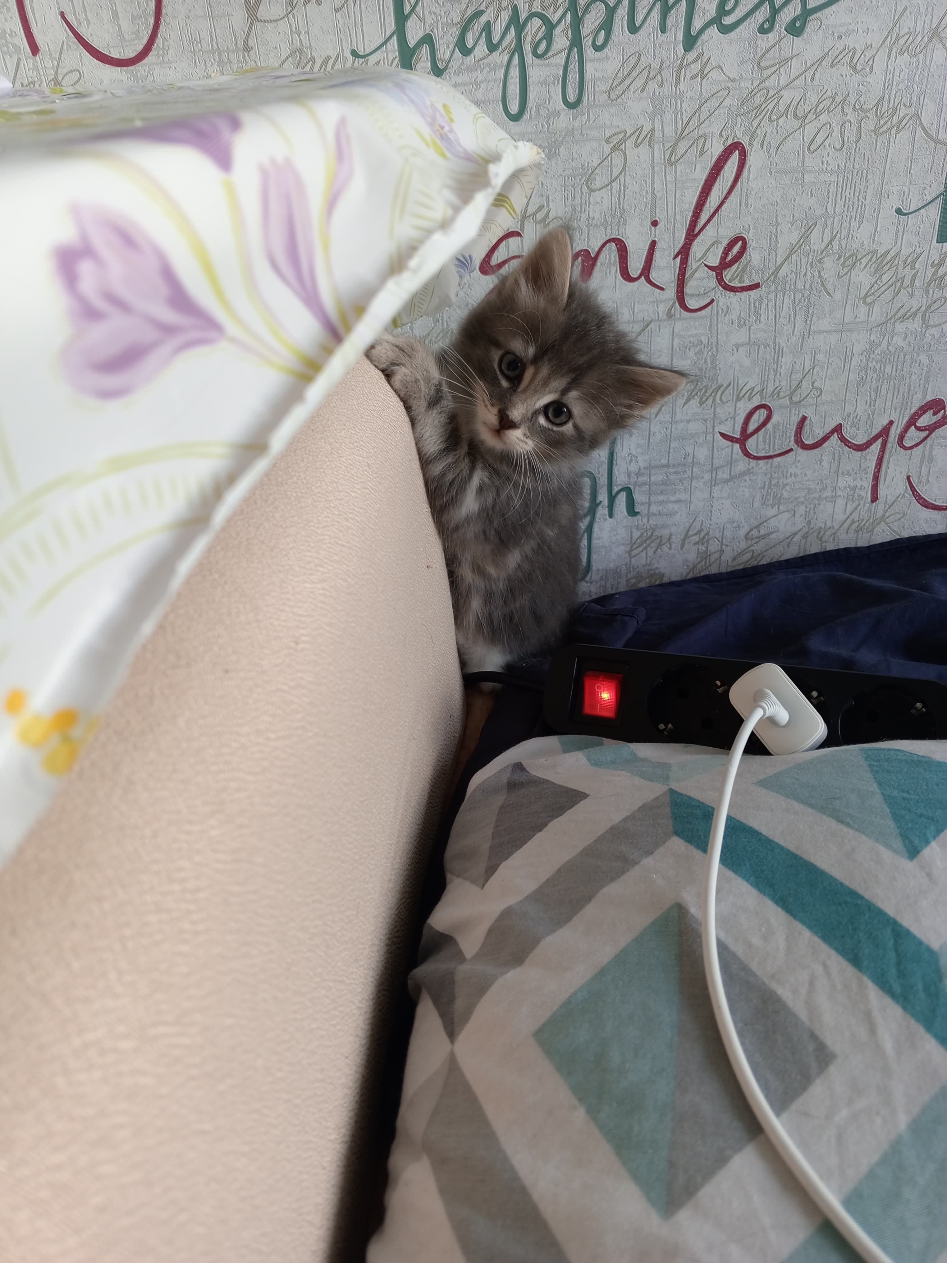 slide-4d1ca0c1-7b65-4aeb-bf75-8472b98edf04