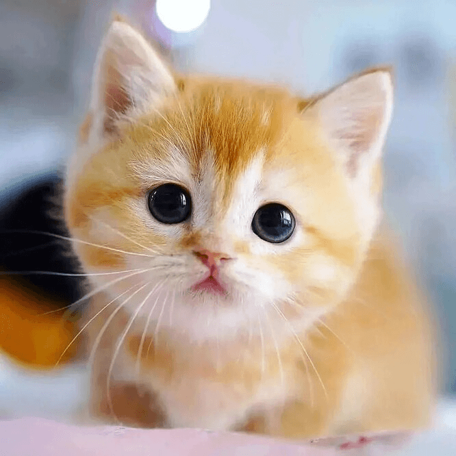 slide-4d47f54f-7f7f-4bd8-ba0d-c9ca91f6cbcf