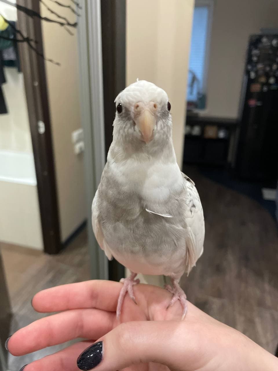 slide-4e358ca5-9c20-47d2-bb76-60dd3afe8cb0