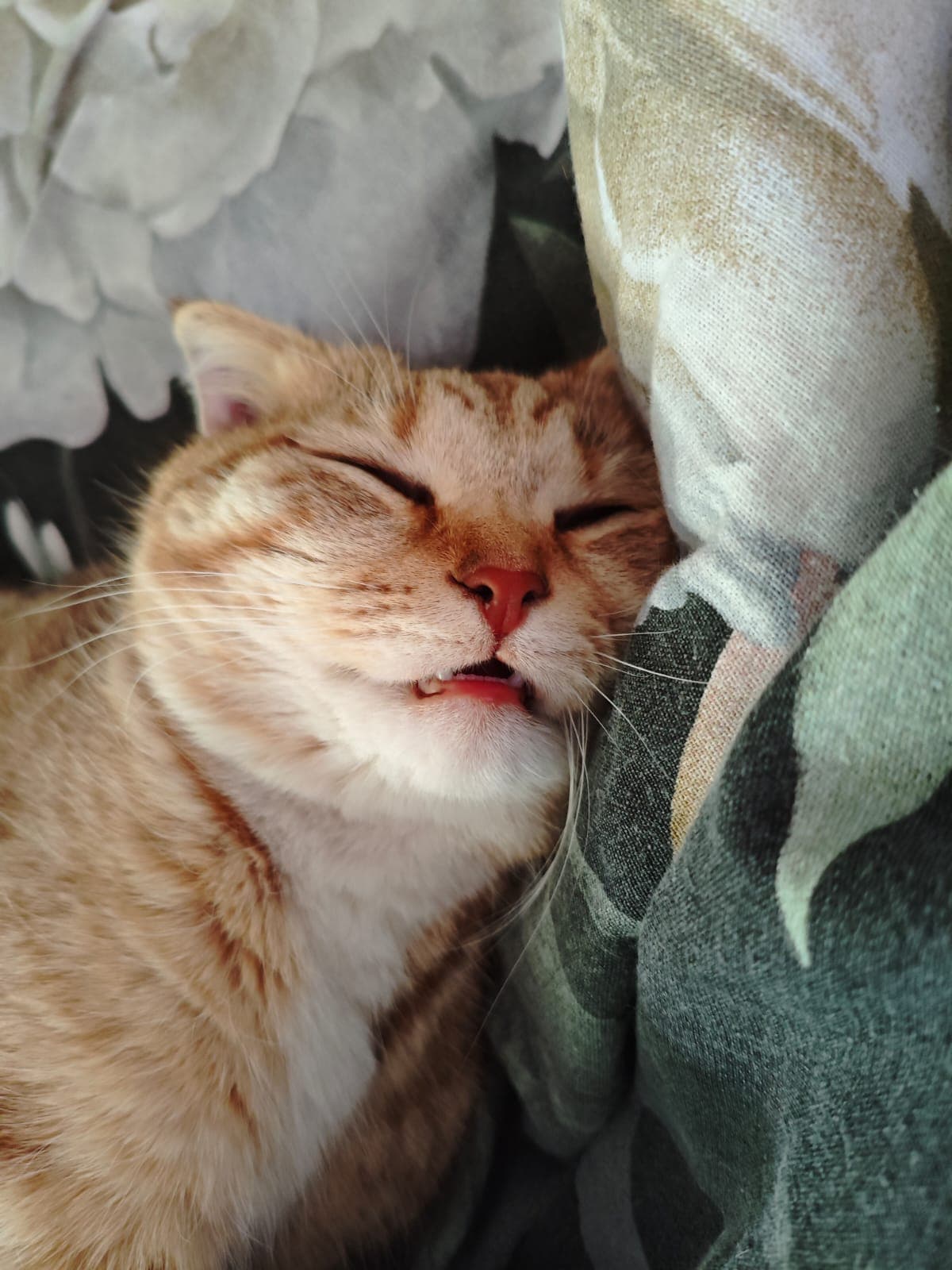 slide-50a7de1f-c53b-4015-911c-50bf5d843446