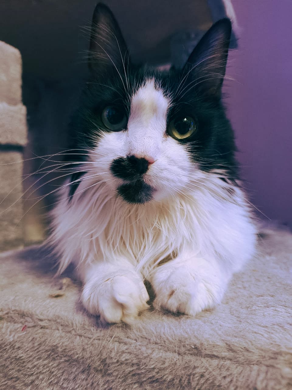 slide-50f860fe-518d-44a7-9020-e92f3b767c2e