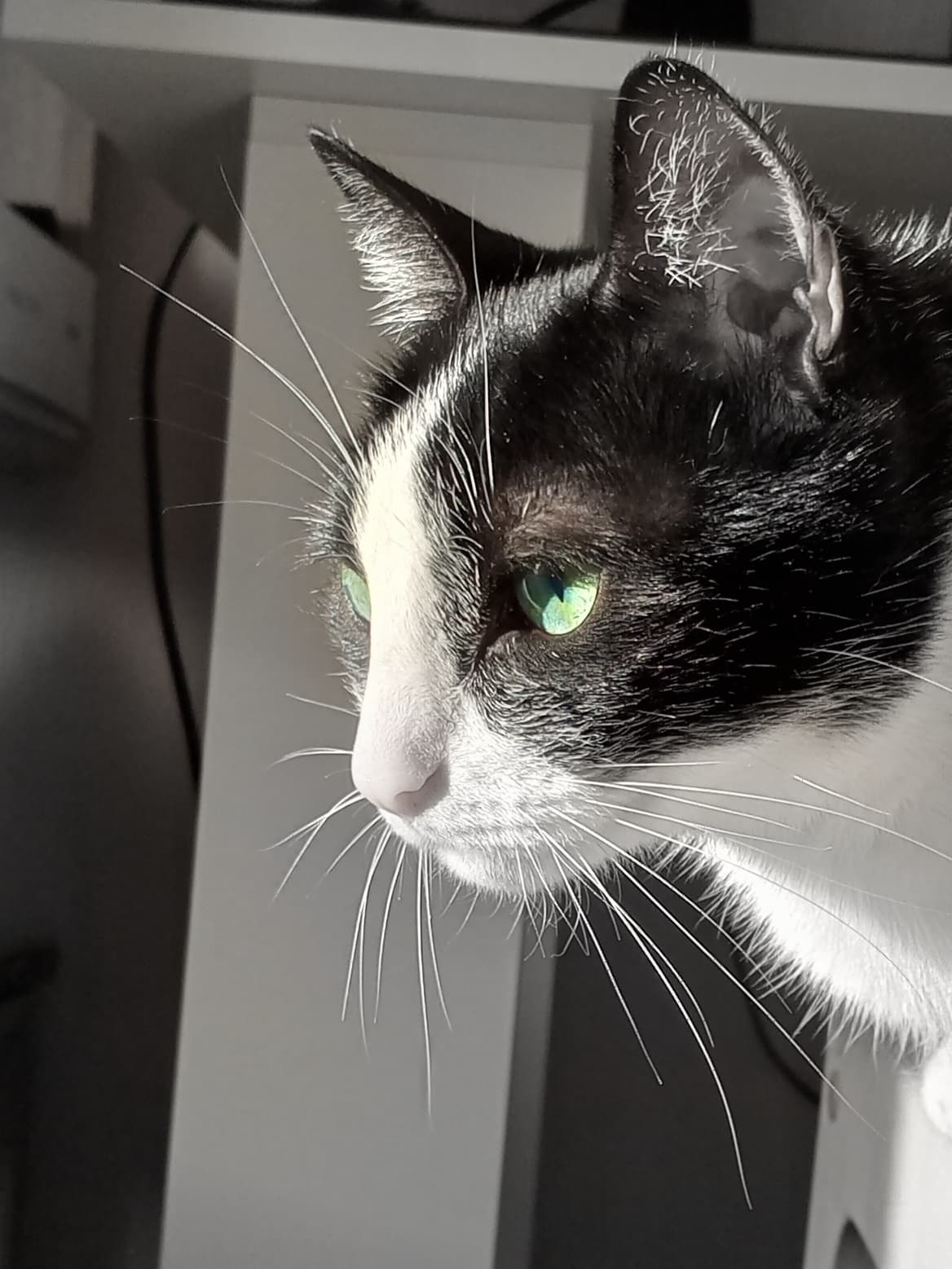 slide-51476172-f5d3-4297-b16a-e5305b5262f1