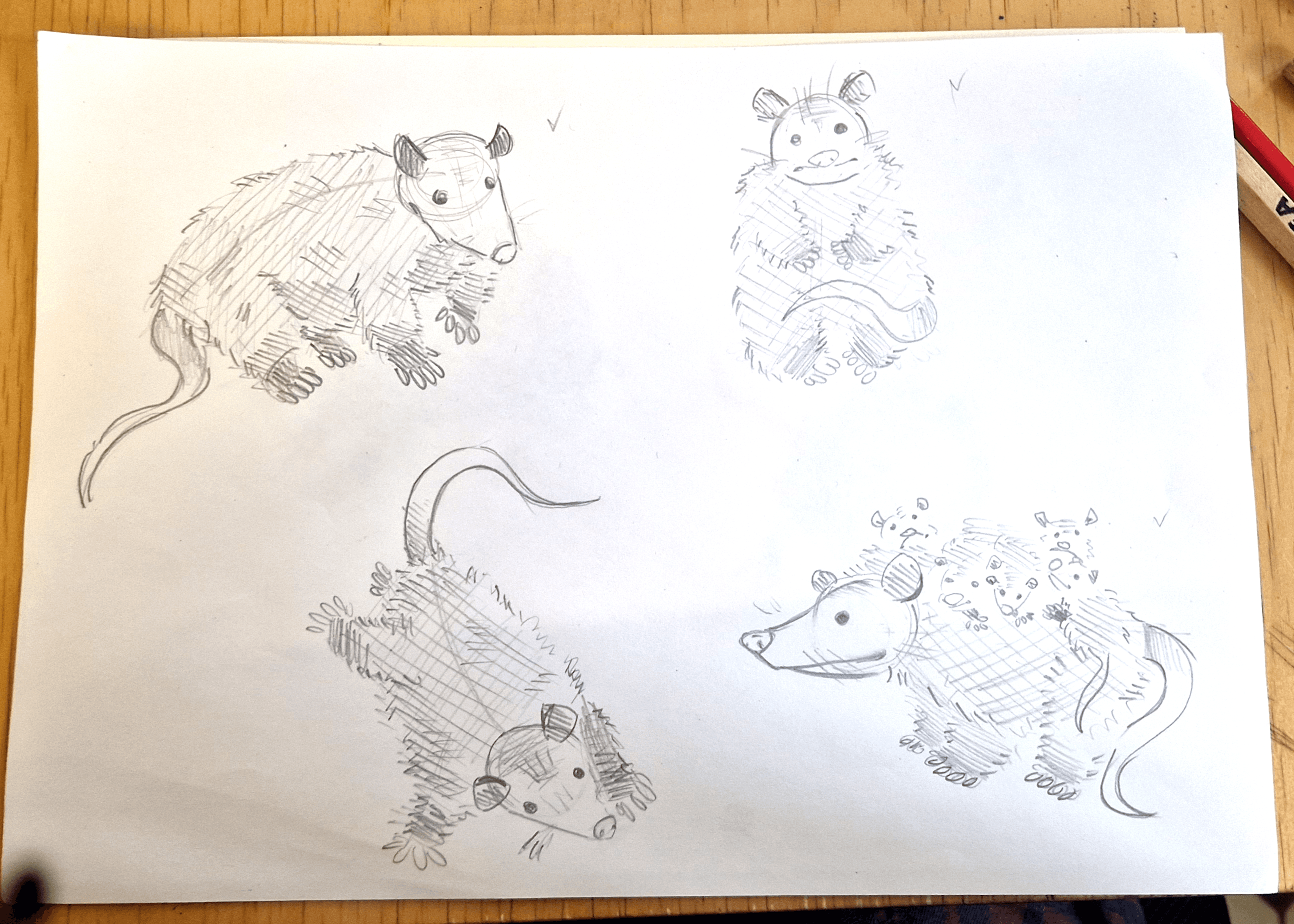 slide-514e4f69-6ec2-4f51-9c4b-1f4375b344e5