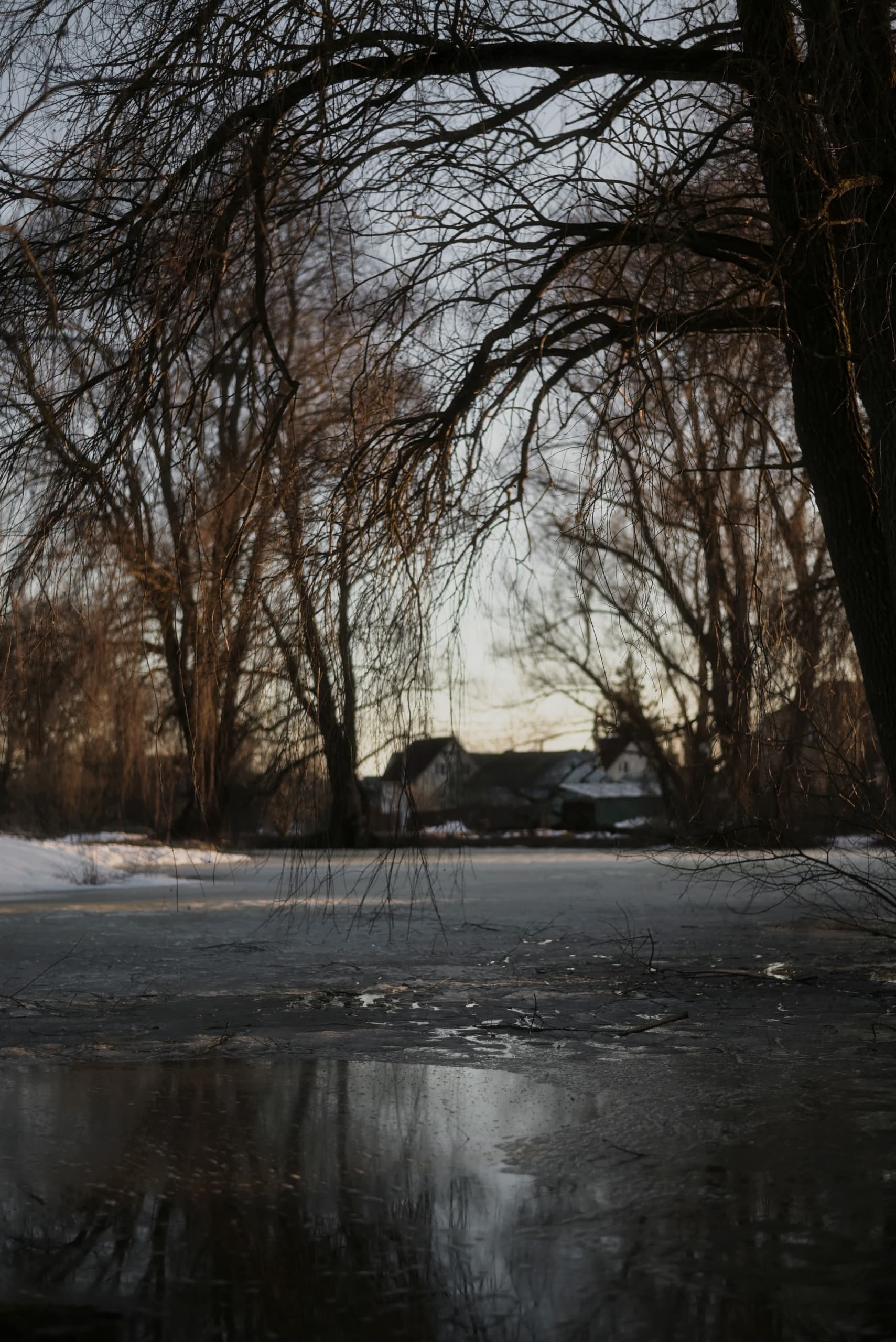 slide-51bb7c8a-518a-4059-aa7e-6a0bfbe26917