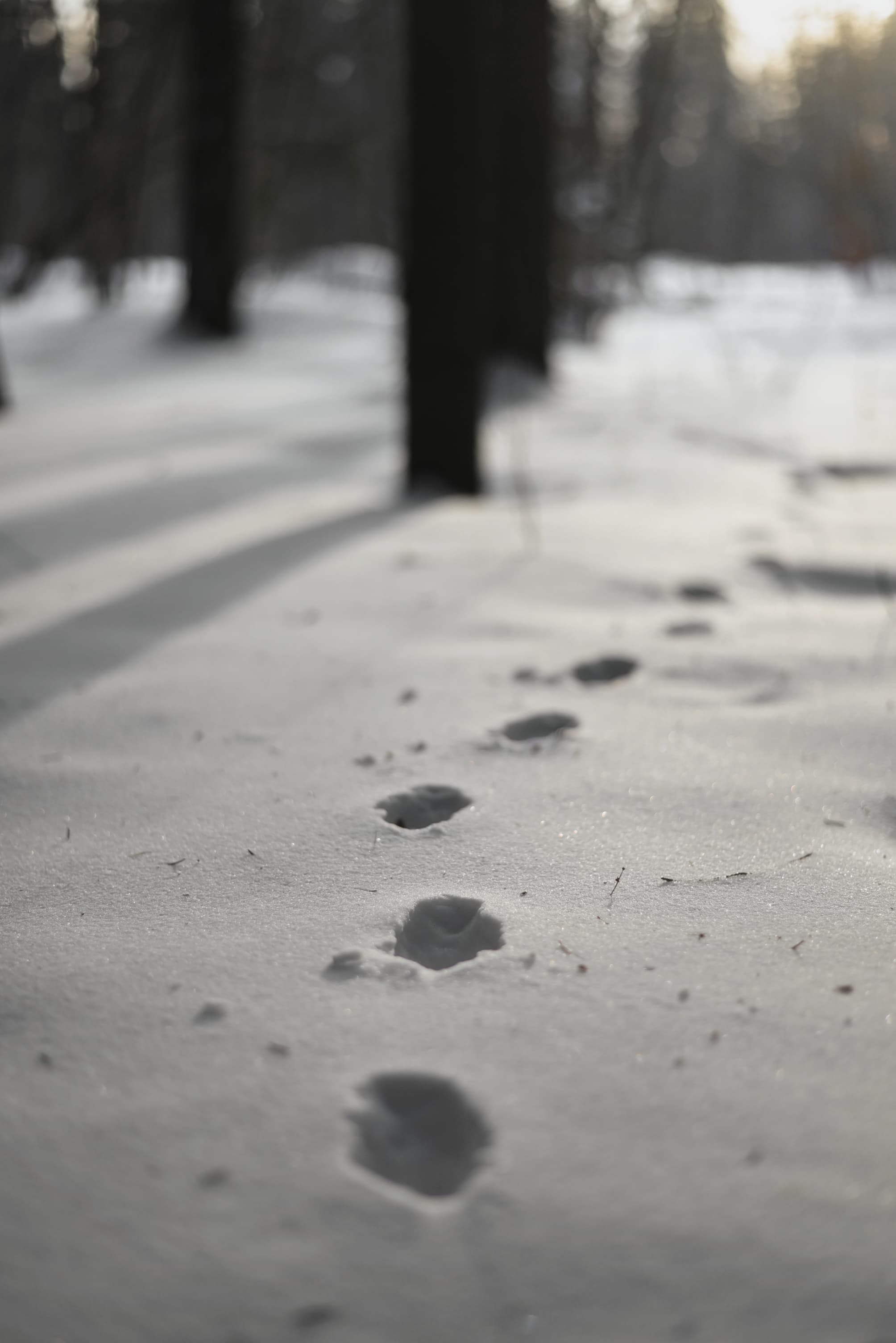 slide-52b34c6d-fcf1-44e7-a641-ec237f3ce664