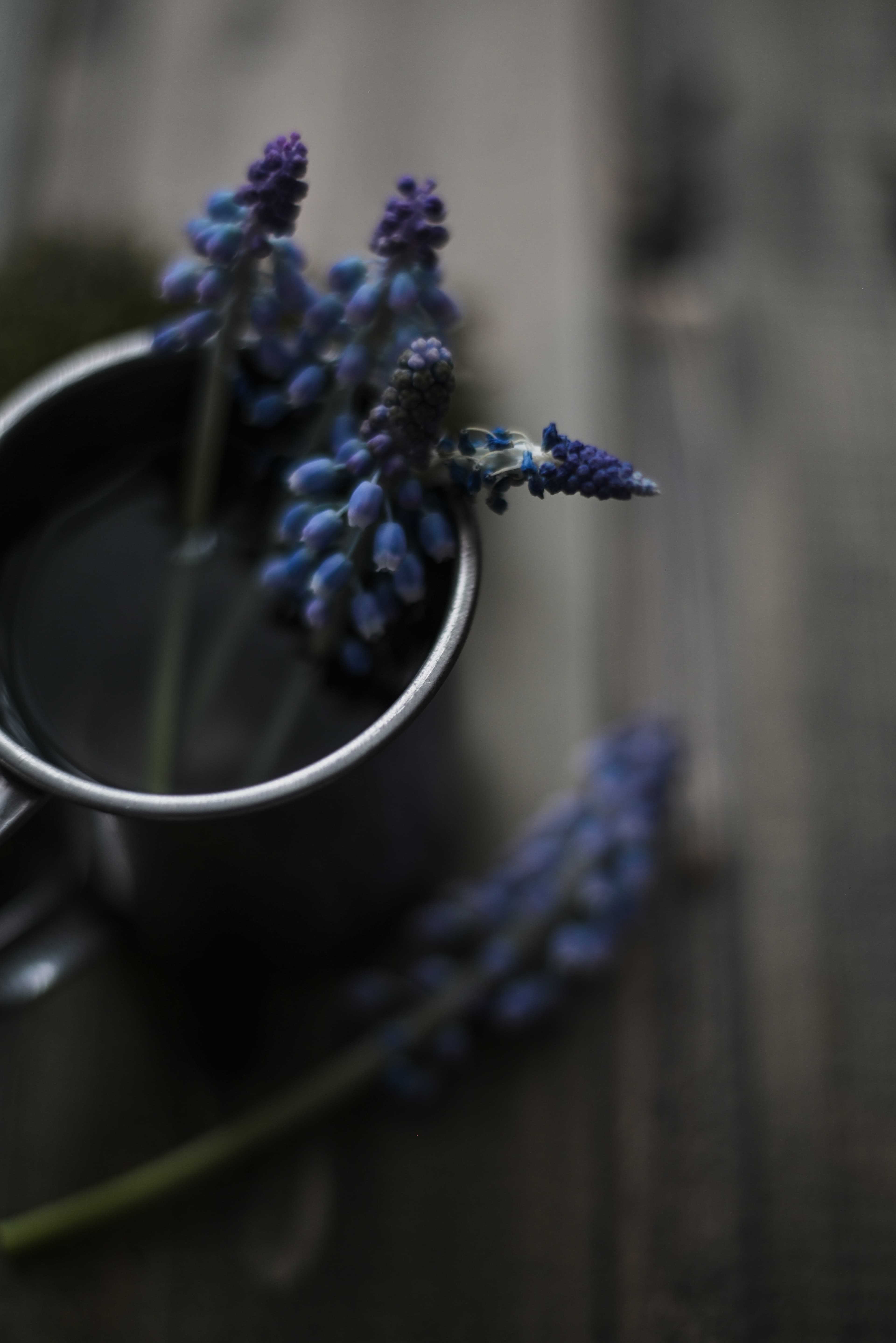 slide-53ab97f8-76f9-4380-b14c-d61b69032691