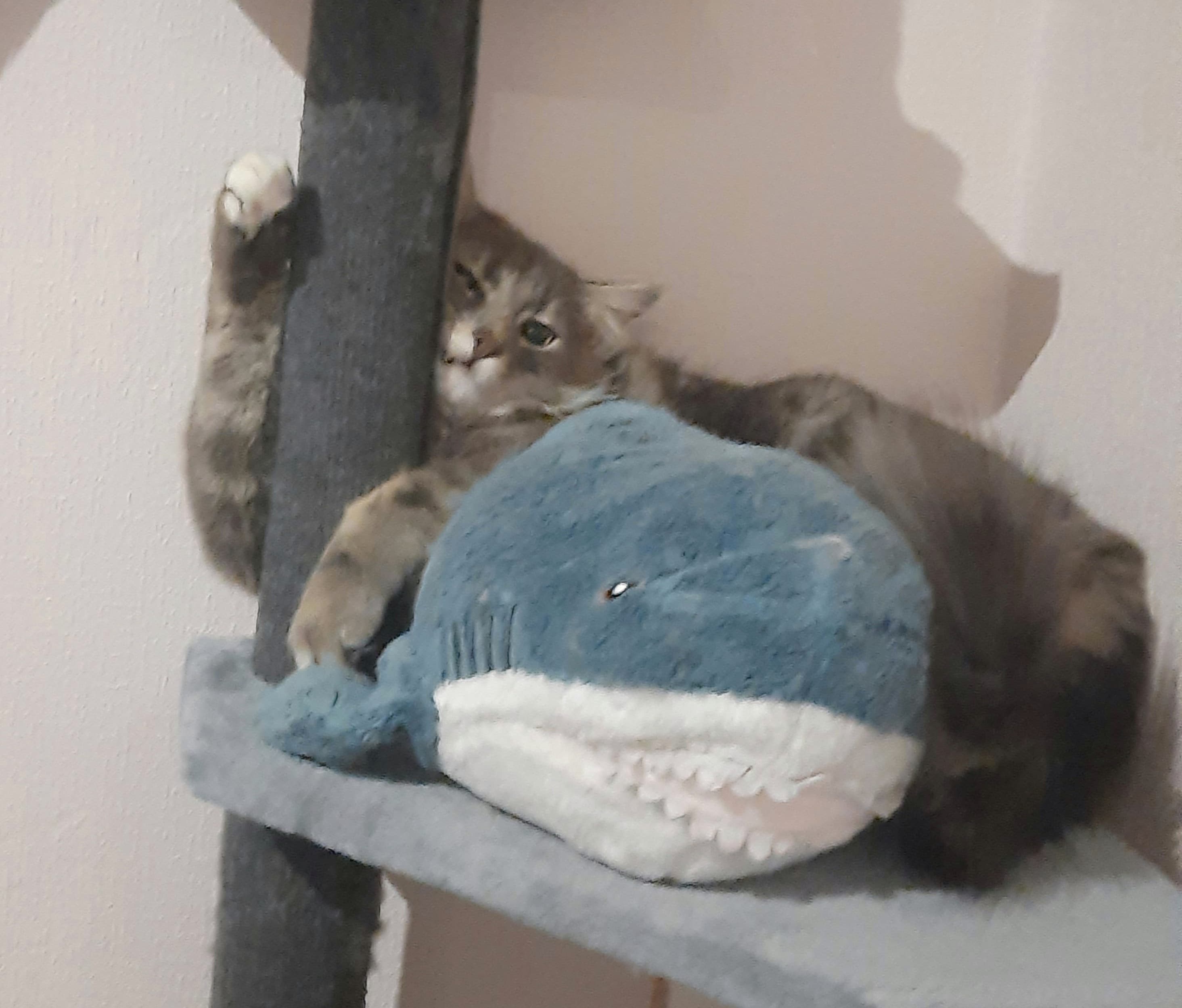 slide-571375ad-6788-4af6-9e81-a4baa5e5eef3