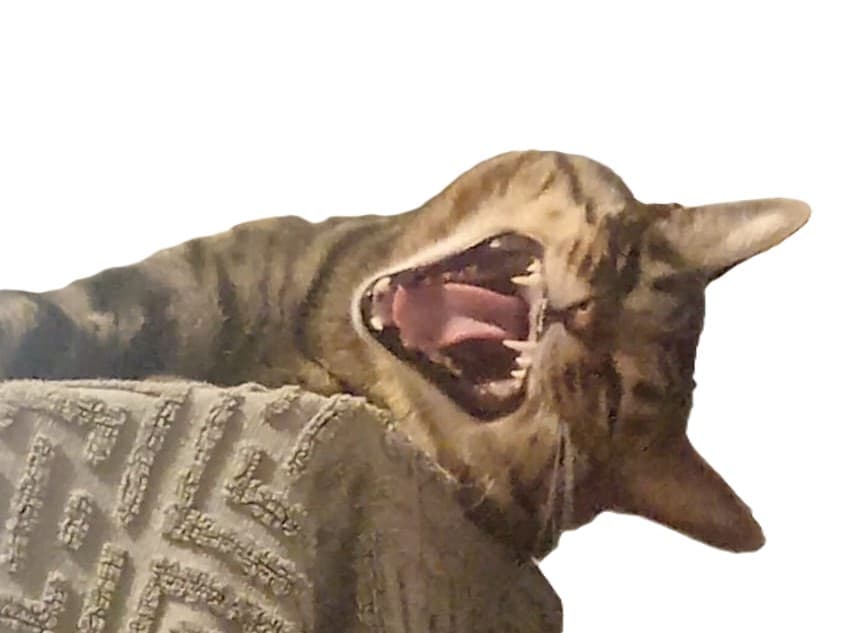 slide-583046c5-9b75-4a3d-b912-008c5373b133