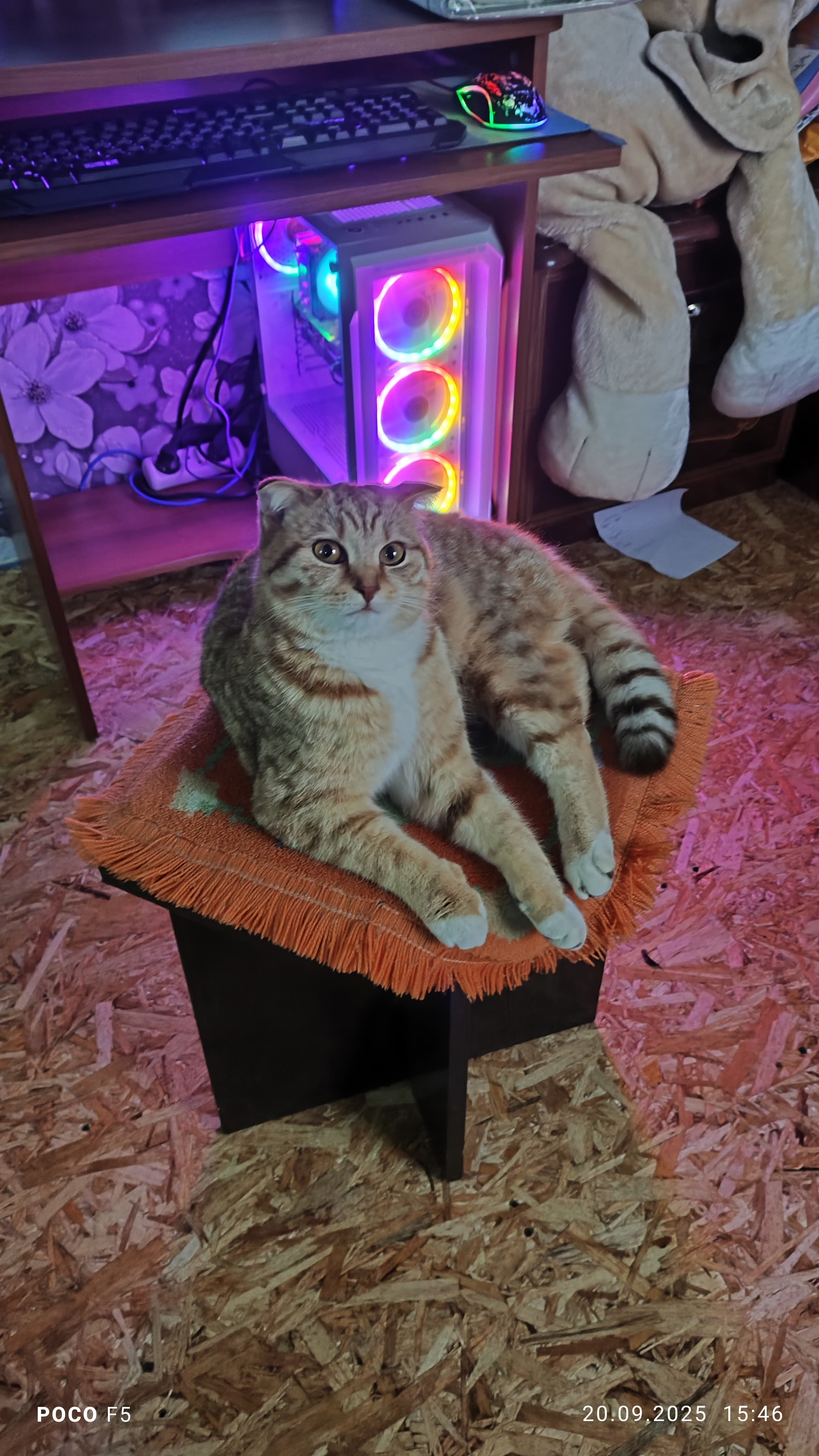 slide-59adf808-3a3b-4270-a071-3c2ead704e08