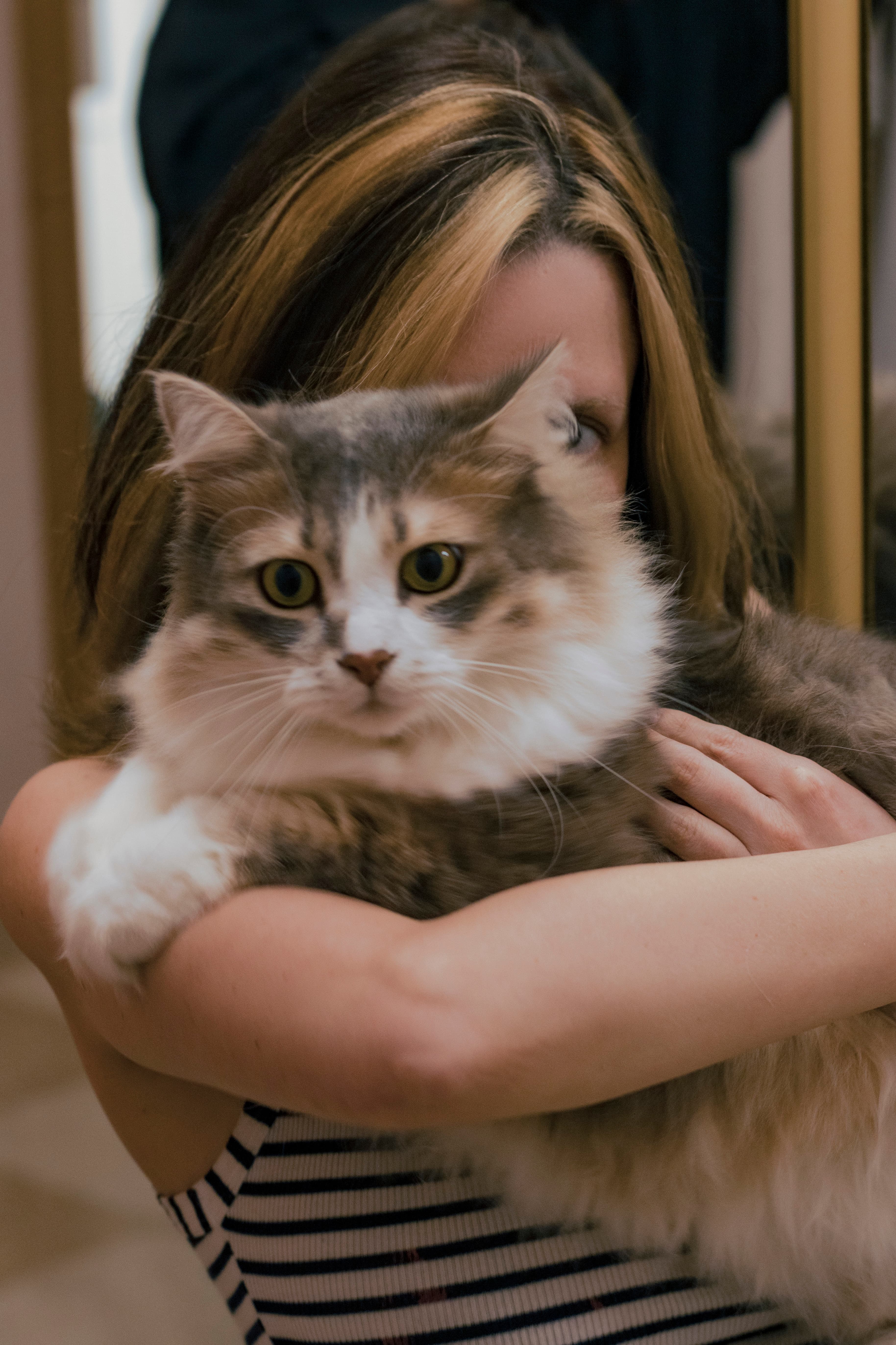 slide-59b385d9-4ebf-4989-a388-998a91571fc1