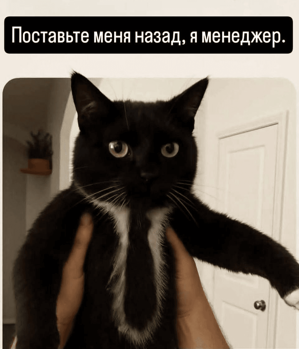 slide-5cbfe569-a050-444c-80e6-ffaf7d238969