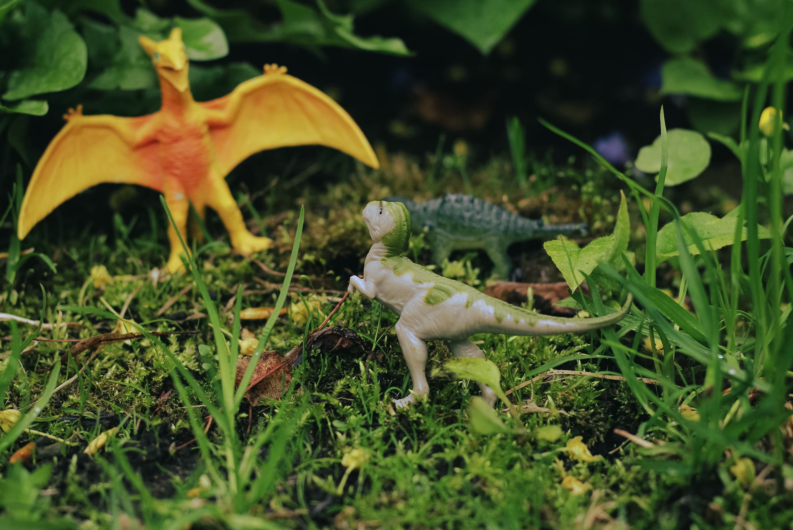 slide-5ee148f9-7be3-4b78-8bd8-db856eb3c0a8