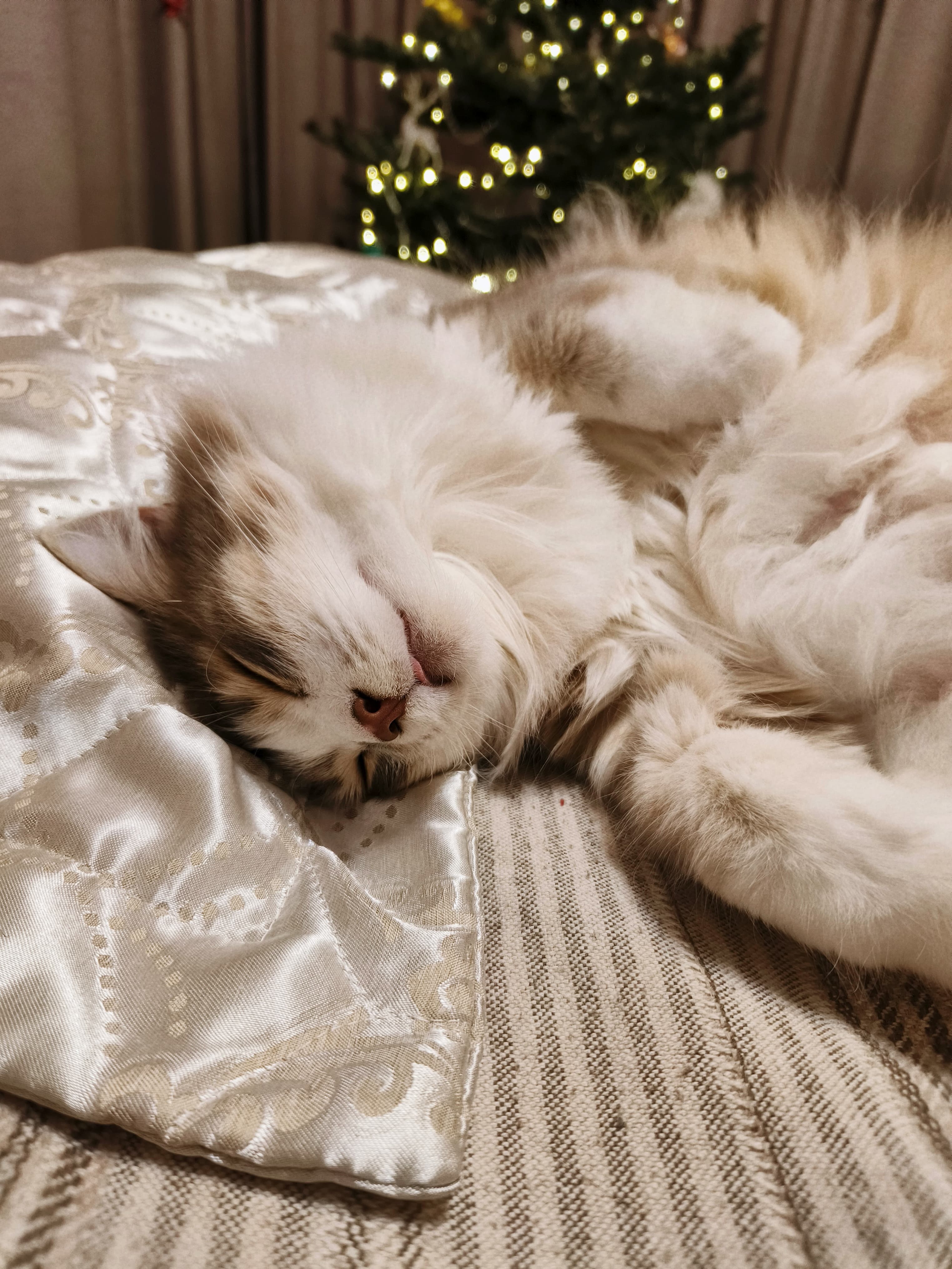 slide-5f929101-c1e6-4be1-ba6f-20112560b18c