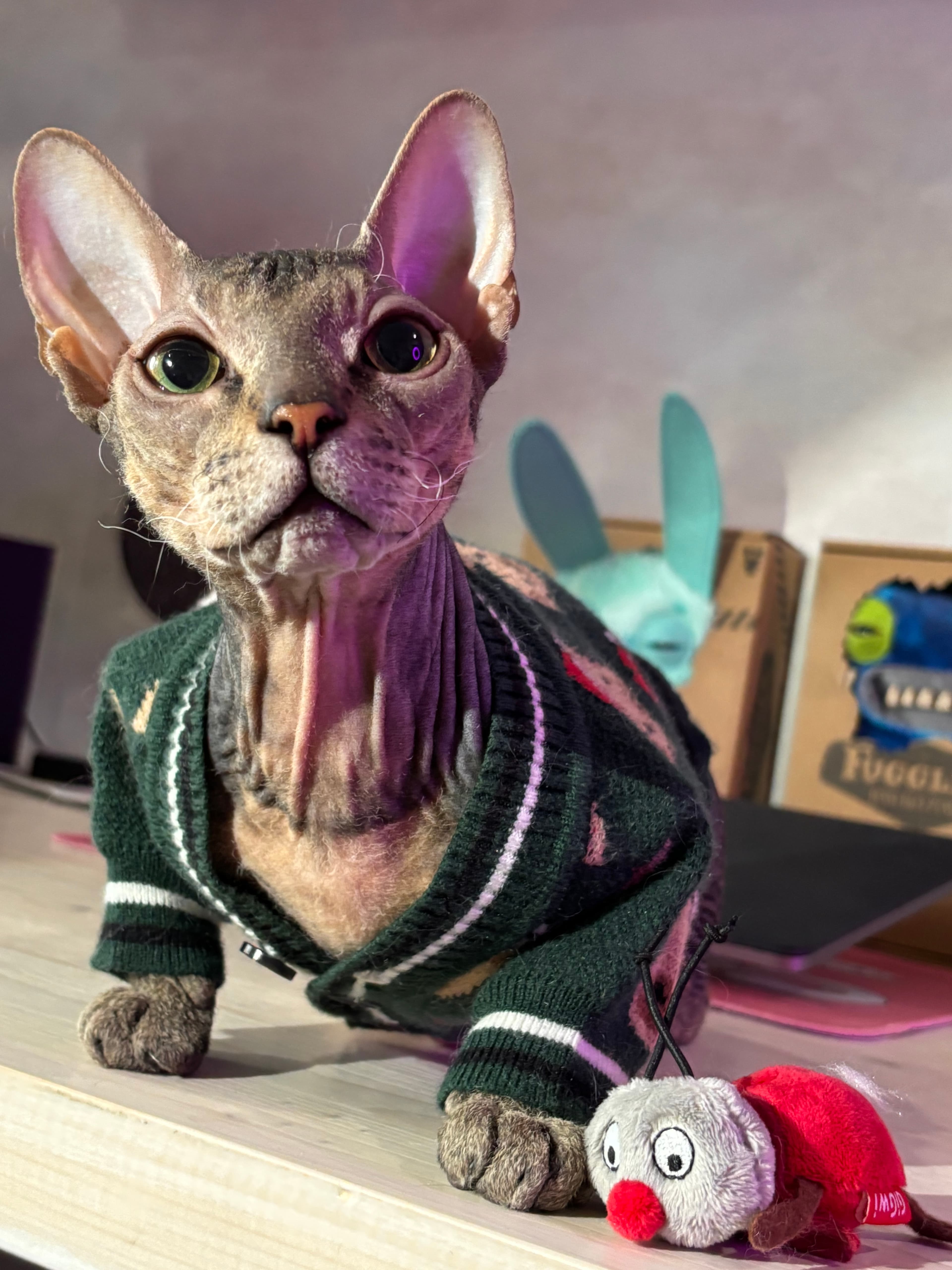 slide-603a05c1-49e9-4631-9060-2ba86ddb4206