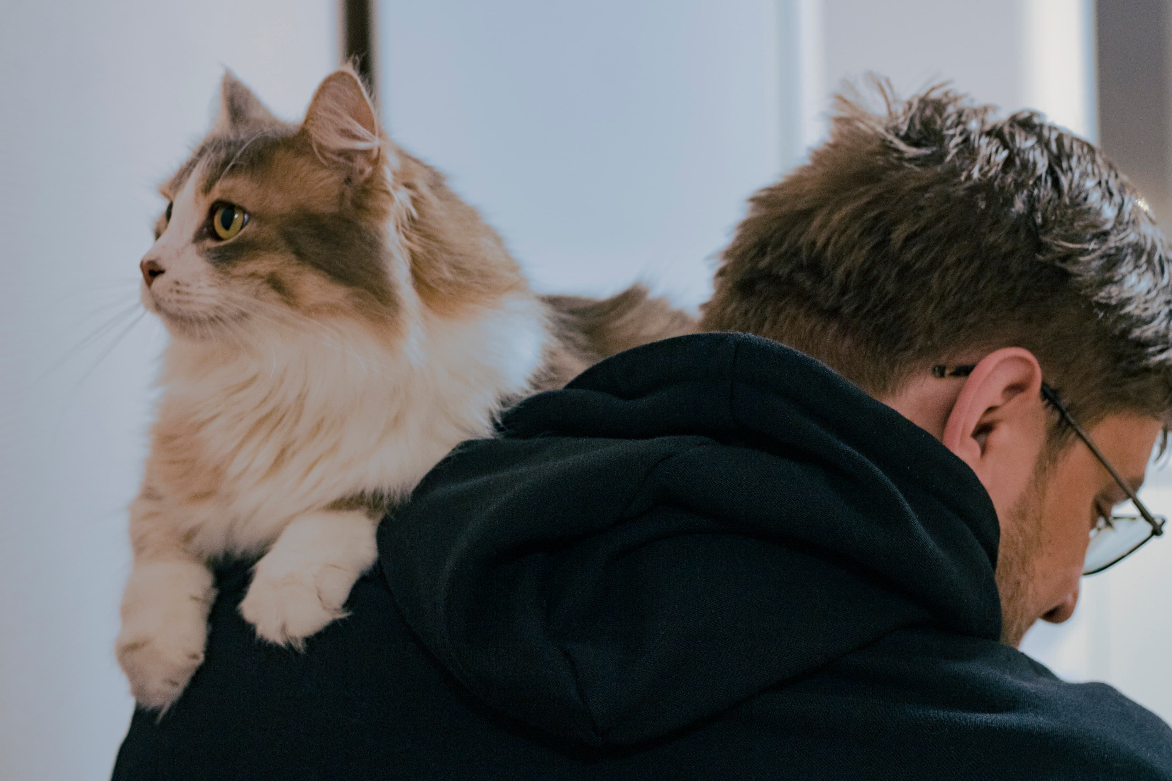 slide-60bf438e-af68-457f-92b2-ba1a7c9f8a63