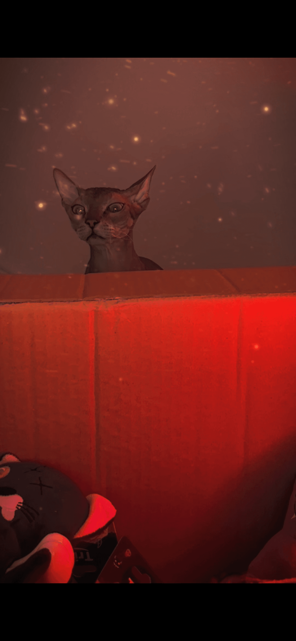 slide-623ea2dd-c0fb-4f14-b57c-a21e1dc20f3a