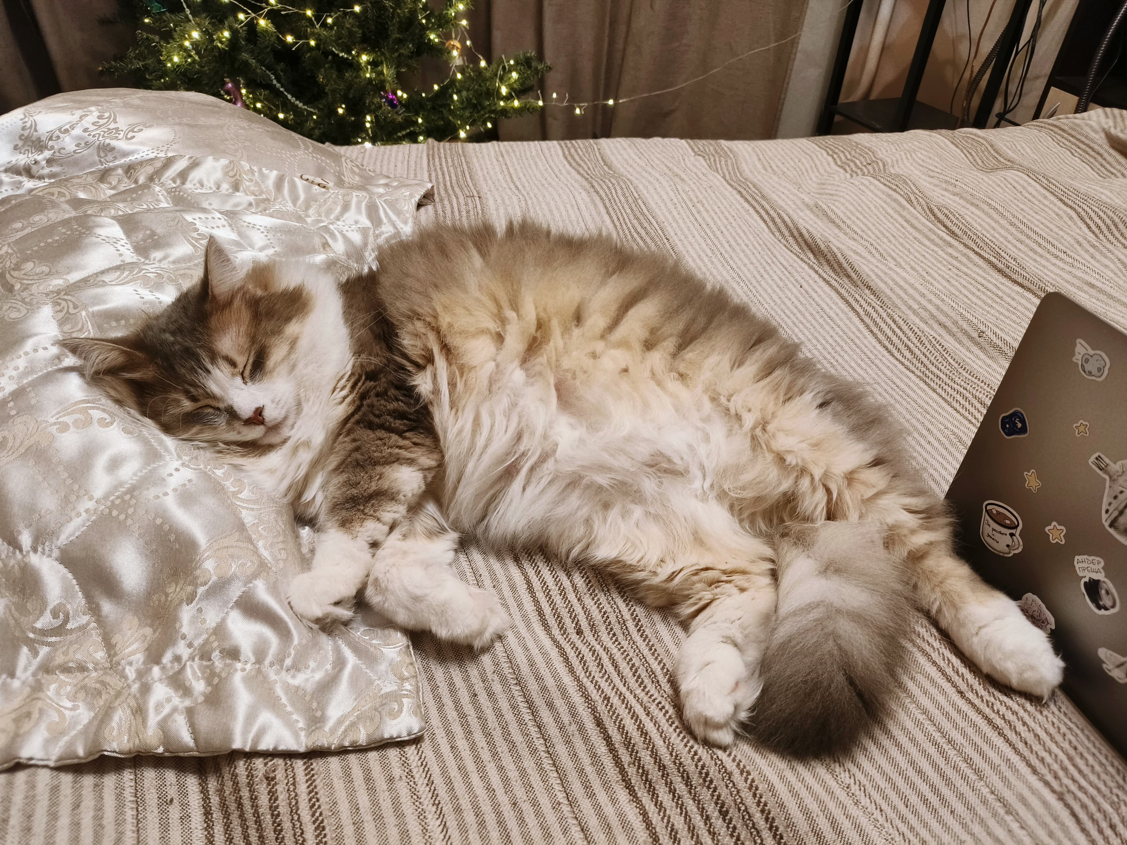 slide-631ef6de-9e9b-4de4-985c-c346160118cd