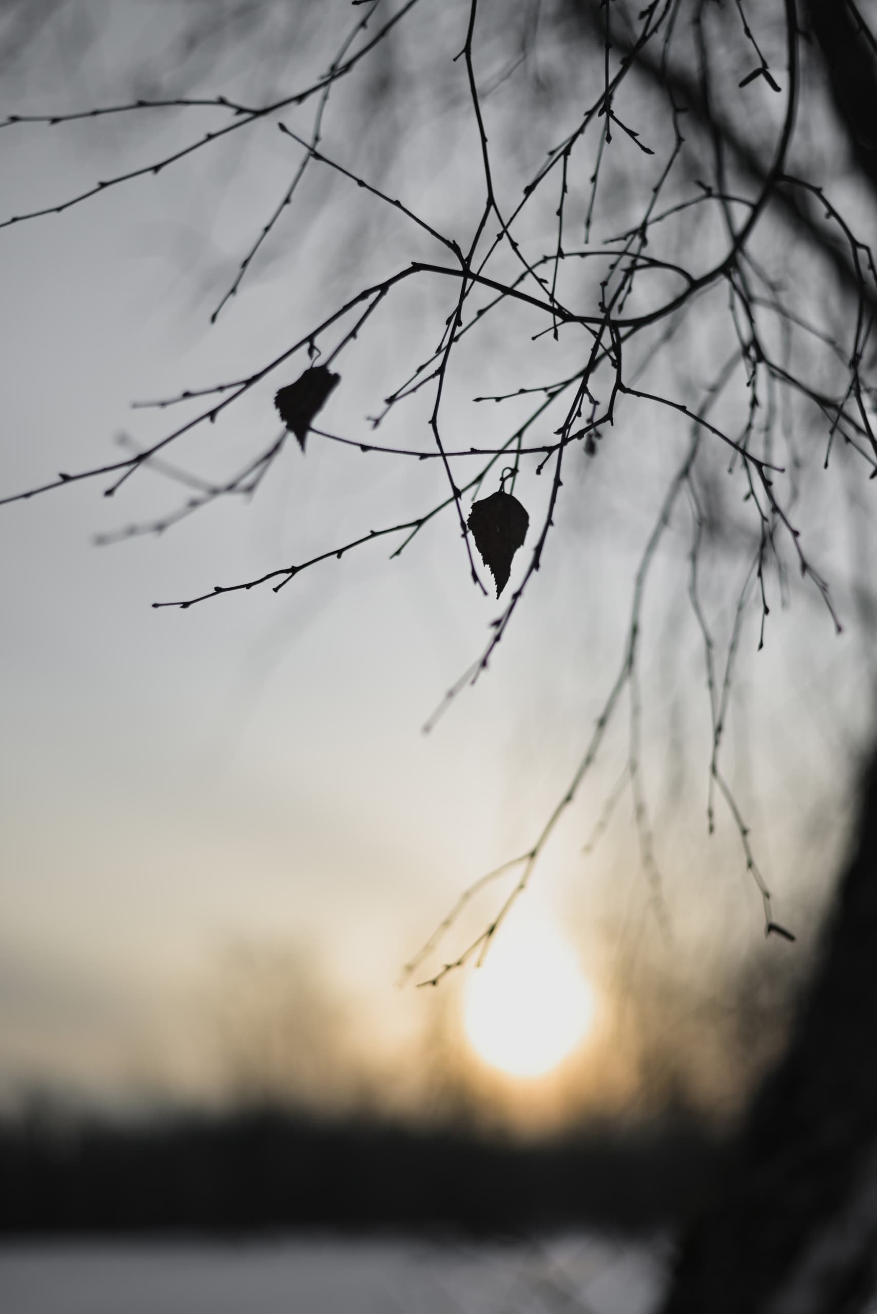 slide-633109e1-a648-4bf0-a4f9-68696b1ccdd5