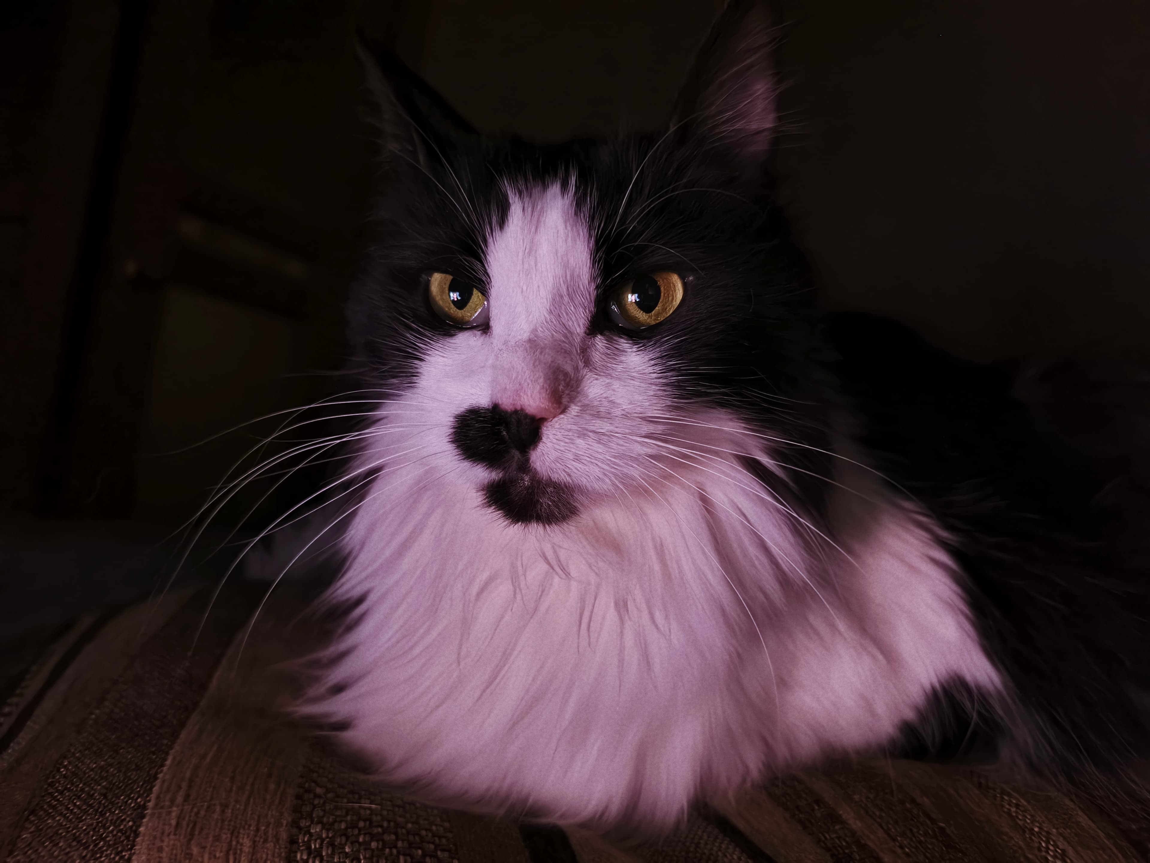 slide-652f95a7-1971-41d3-a0a1-07b5596e0d1a