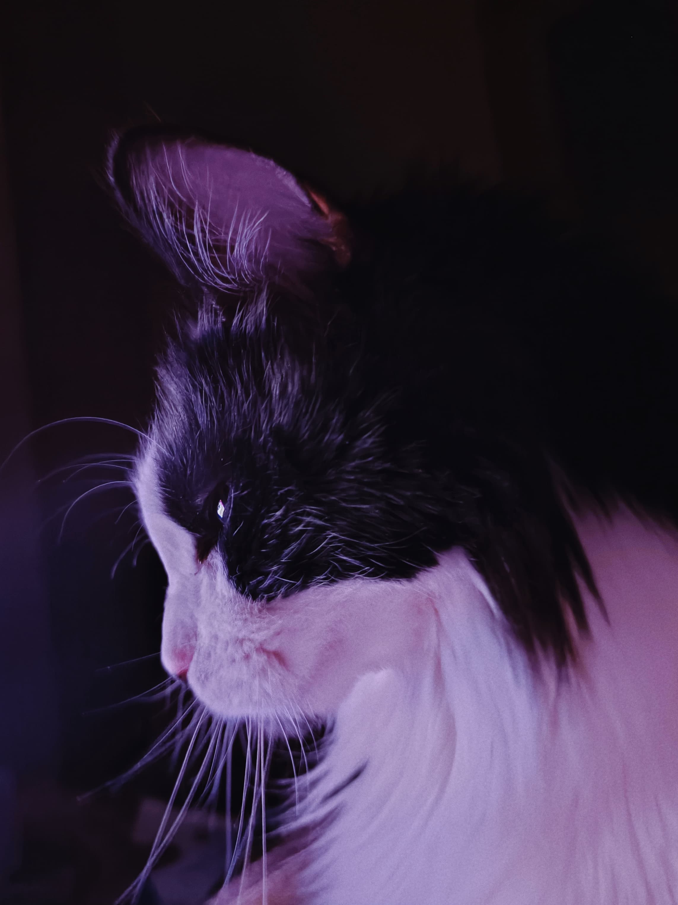 slide-659772a1-df69-4285-92e4-c7cf01e3be9b