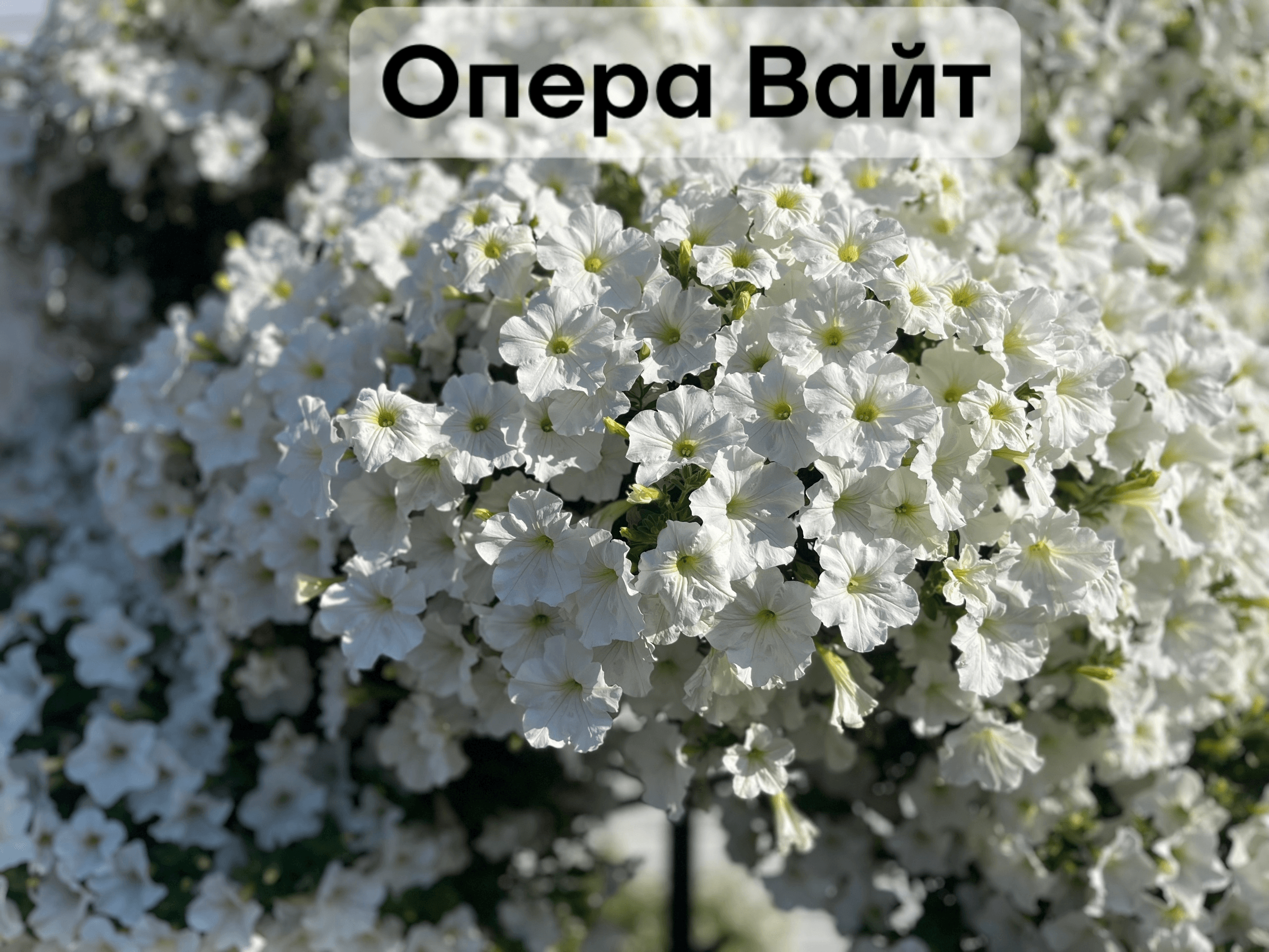 slide-67540b55-5112-4b57-8f87-90a17671930c