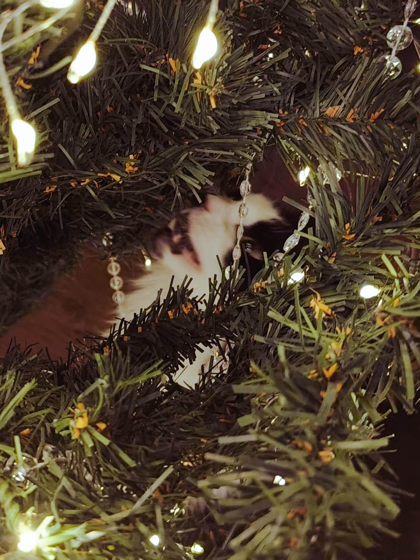 slide-681a40de-185b-41b7-a955-5801665d8717