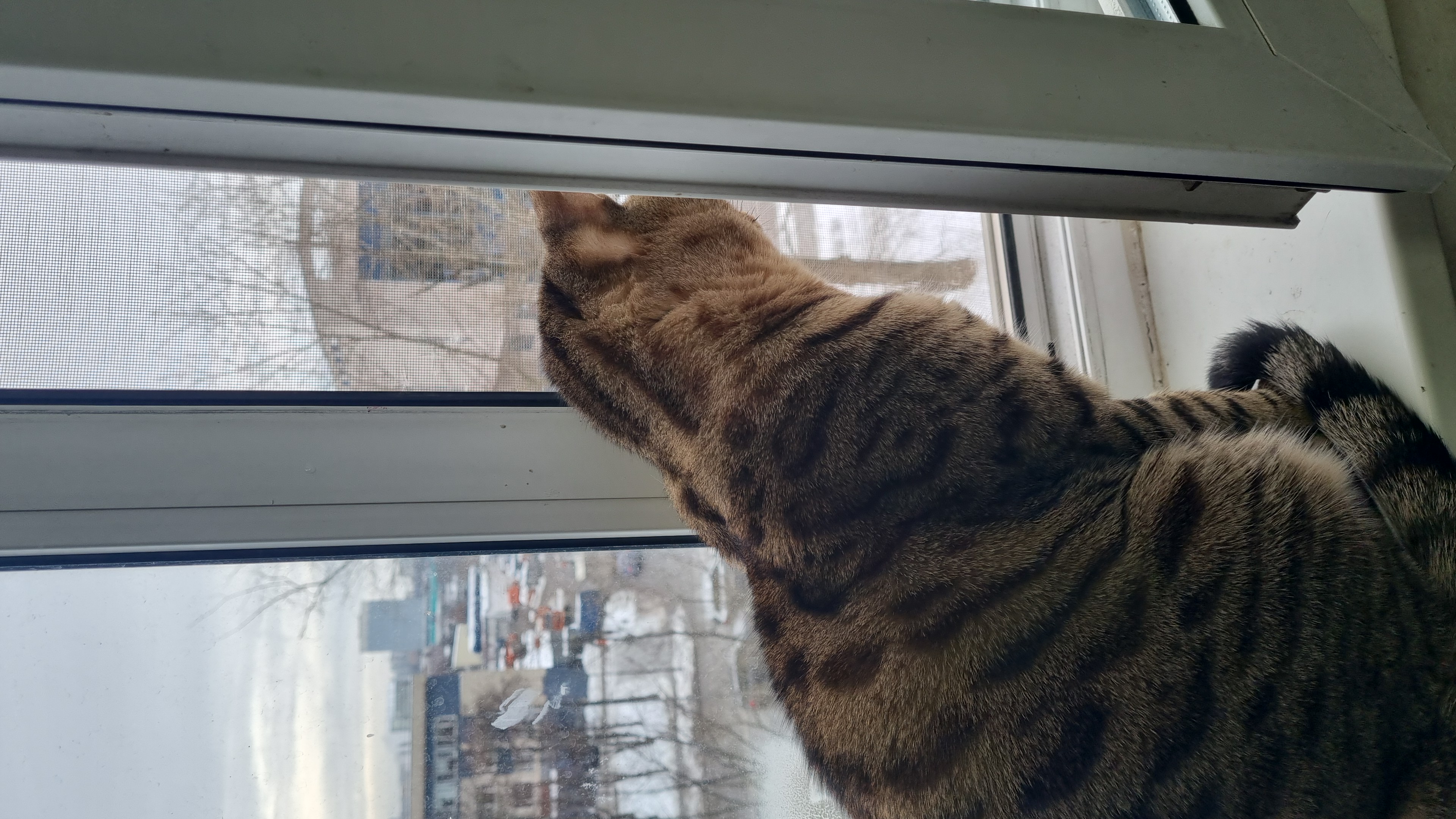 slide-6b3ce77c-fb80-421c-88fe-2b9c05371703