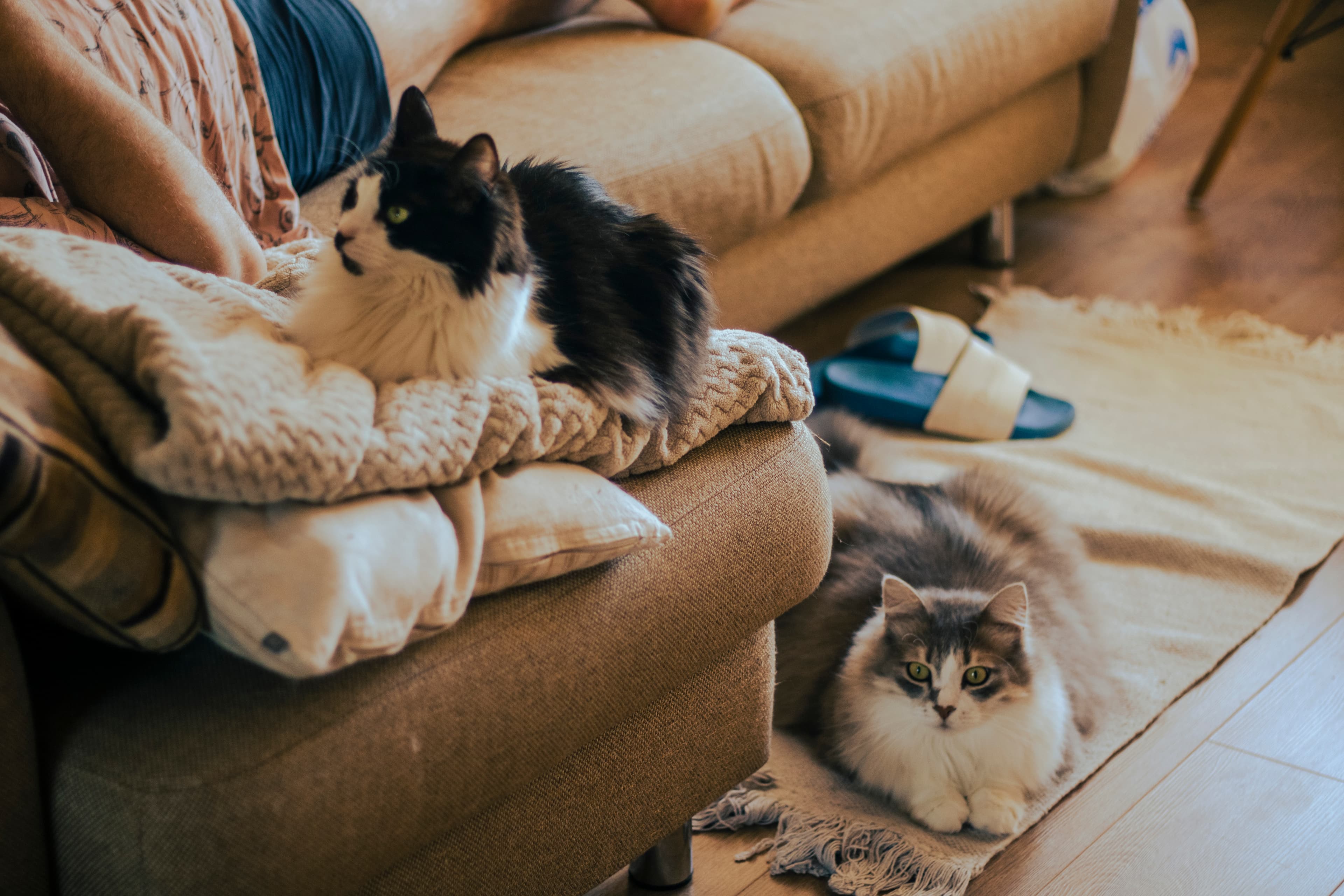 slide-6c2a54f8-6d8b-4306-ad49-f0c46a13d986