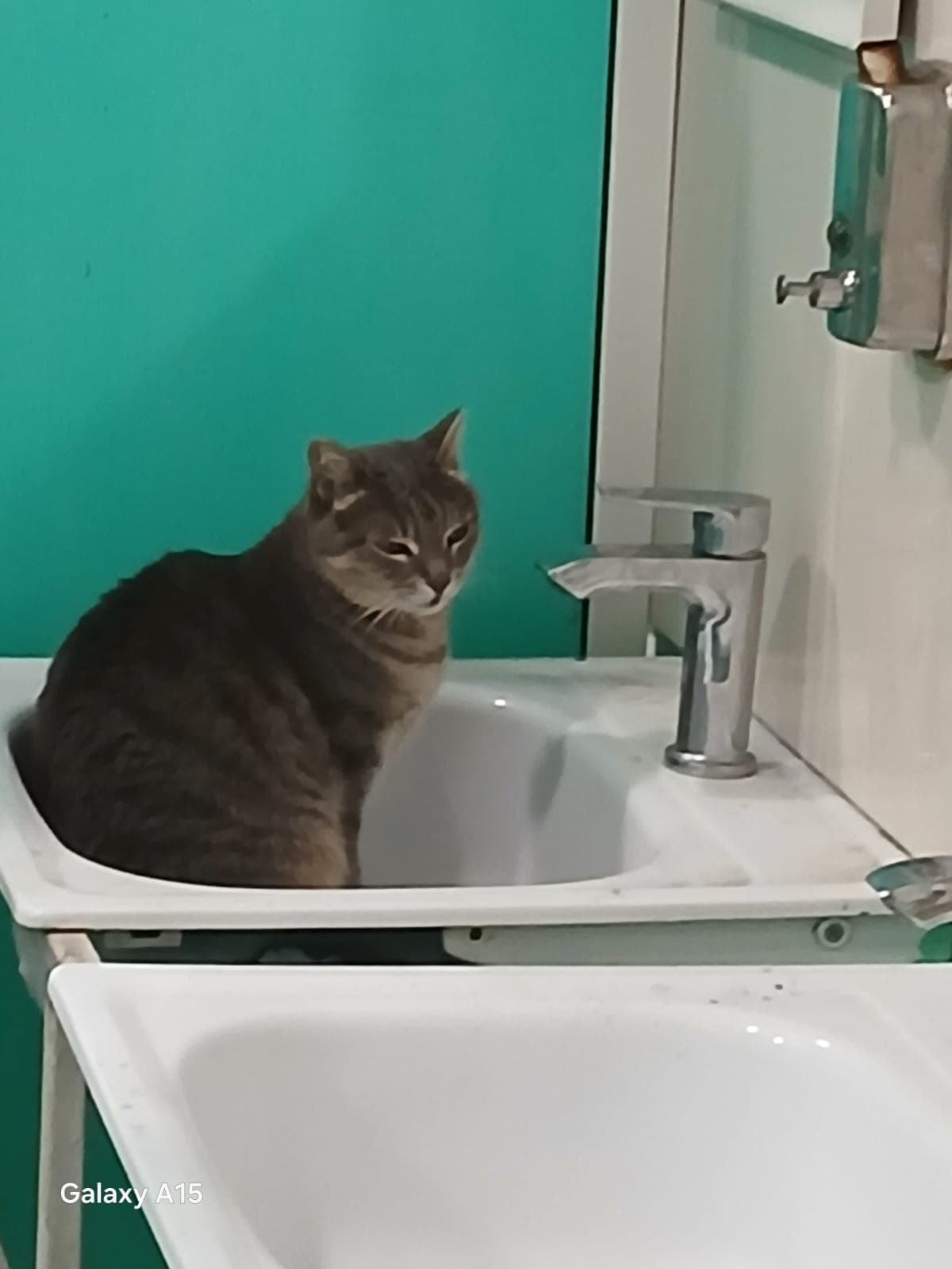 slide-703eed61-cb9c-415e-bc0c-a9fd1ac97fed