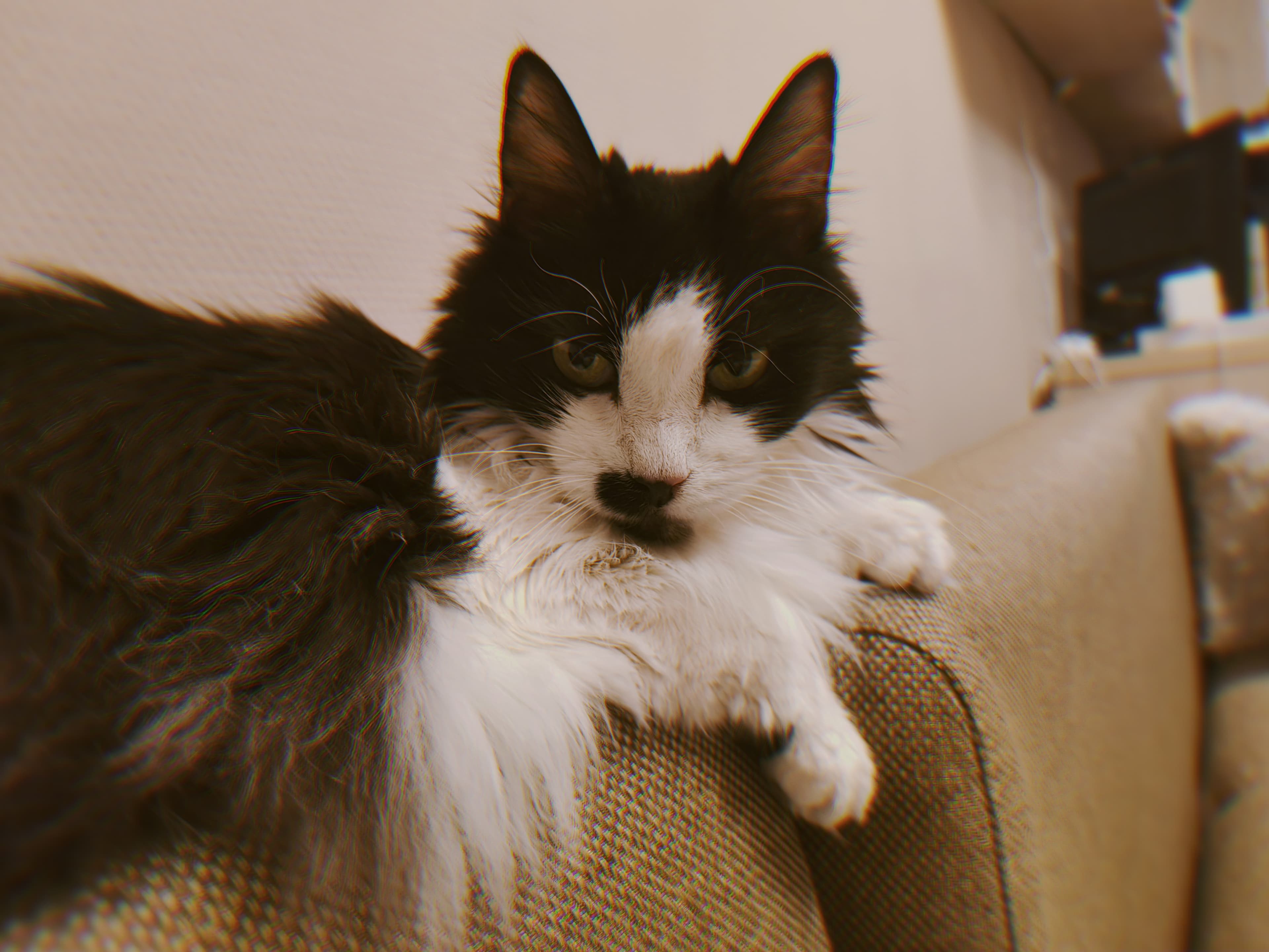 slide-734b1258-18c0-4631-99aa-a5a02abac237