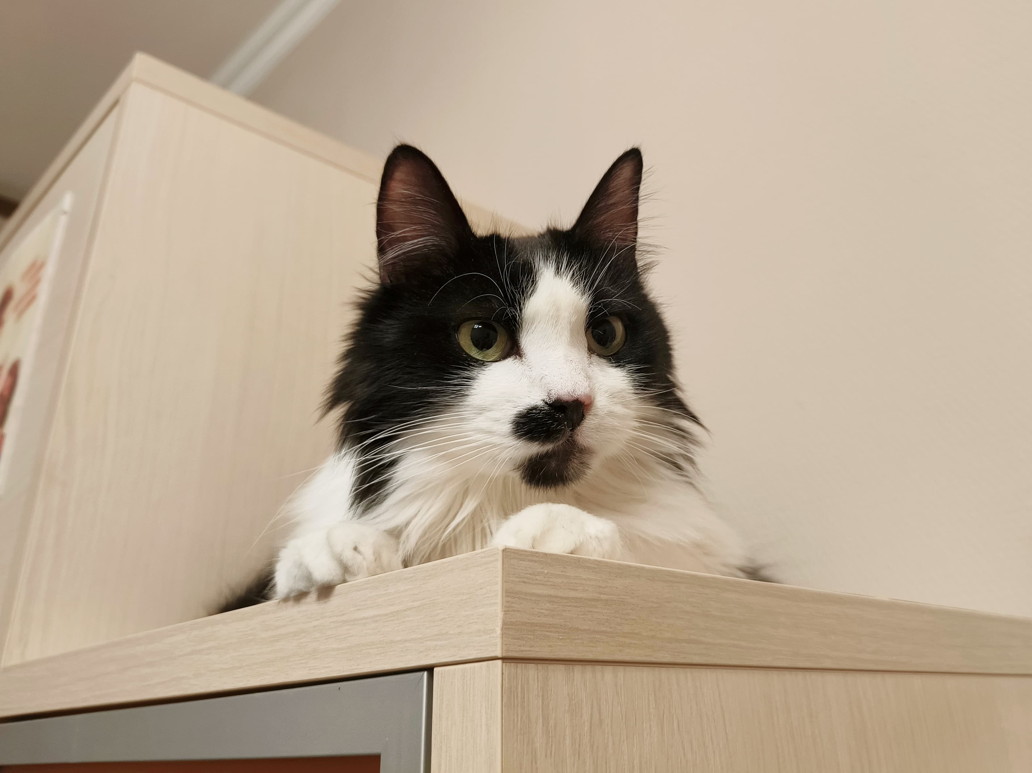 slide-741ef3b8-c7a2-4f8d-8865-6583ebbac411