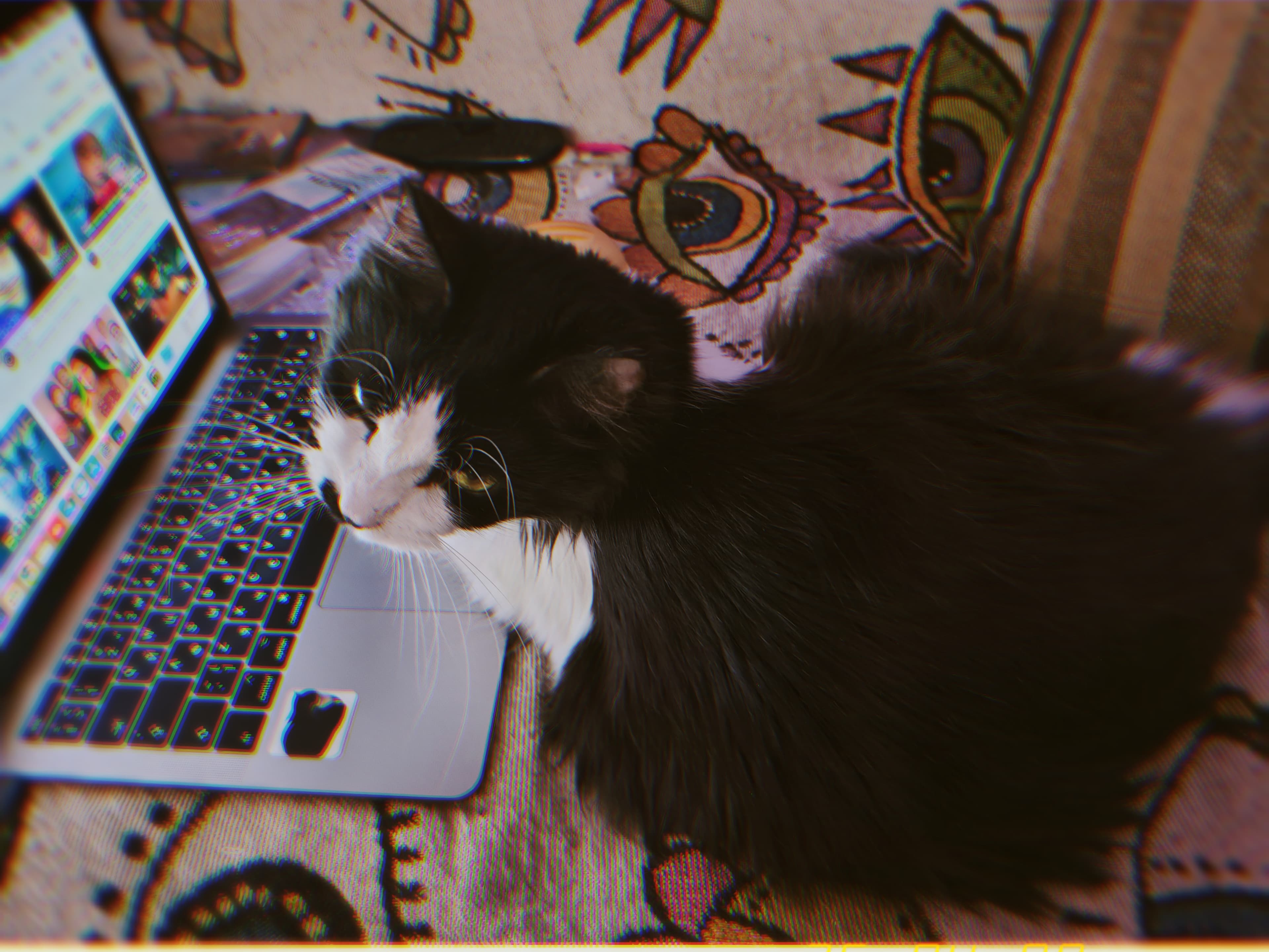 slide-74f3bb42-58a6-4929-924e-2191b79f8fbb