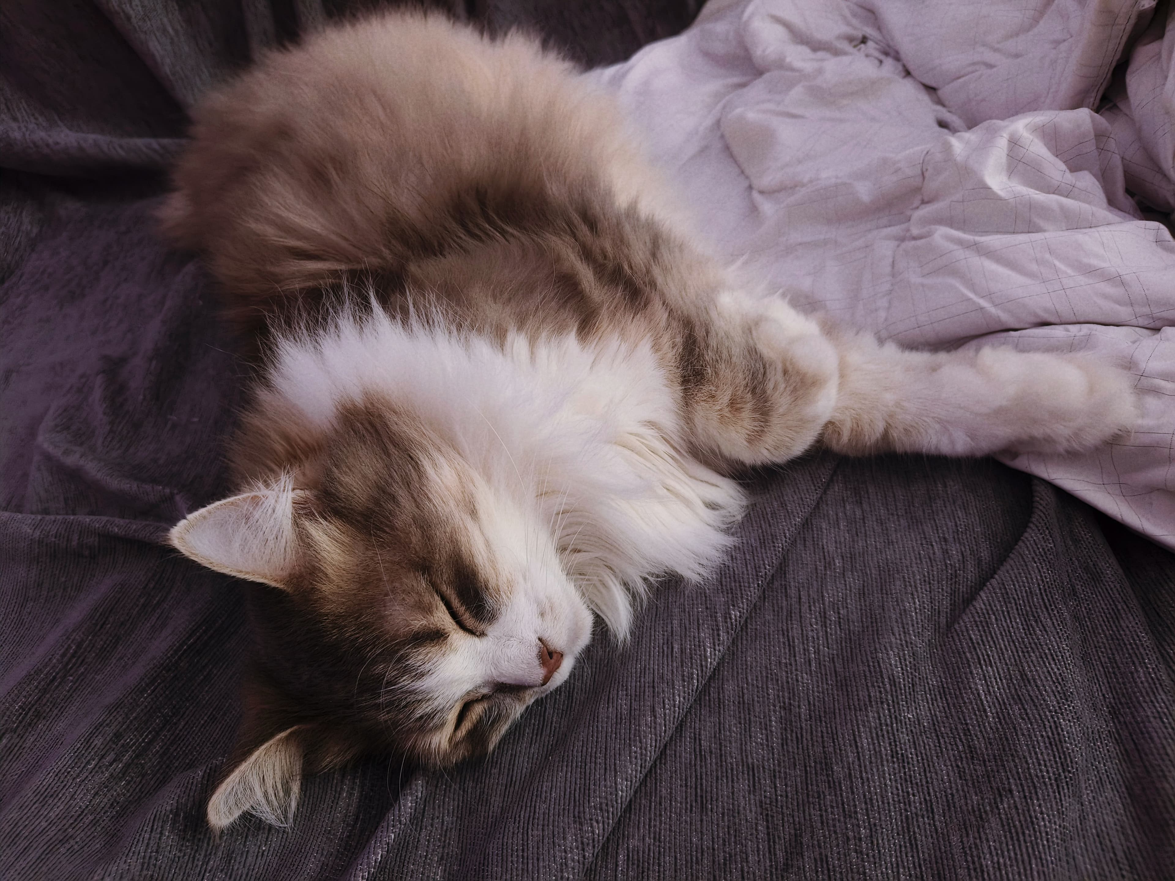 slide-77b4590f-937f-4687-acba-4c4d3a16f7aa