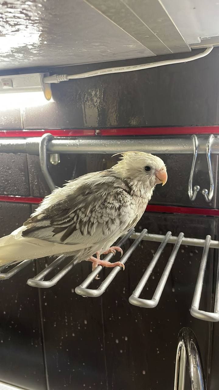 slide-784dd21e-18cd-4f4a-b1c9-4e97a1586816