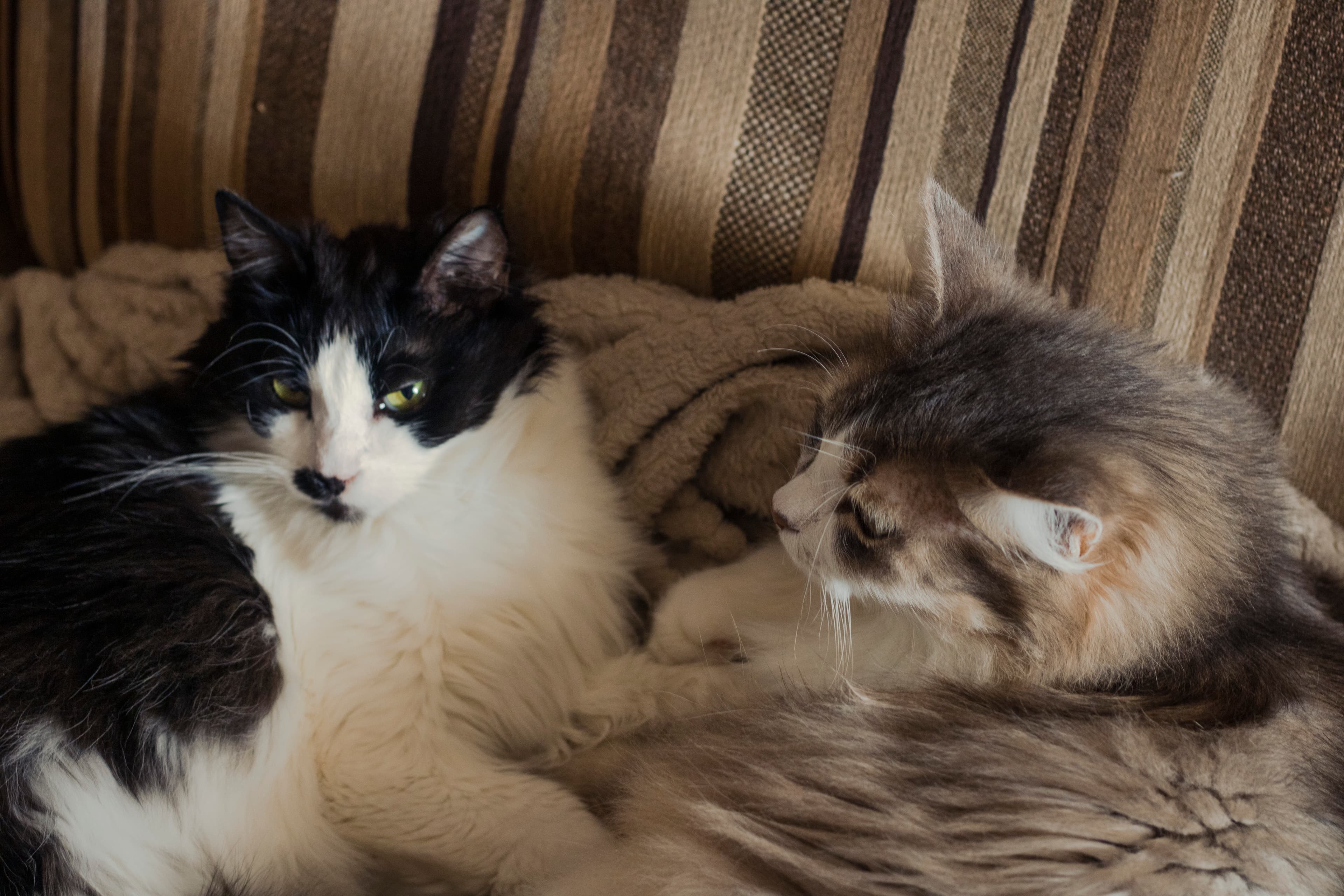 slide-7928ee69-eac8-489e-94ba-3d852e321c5f