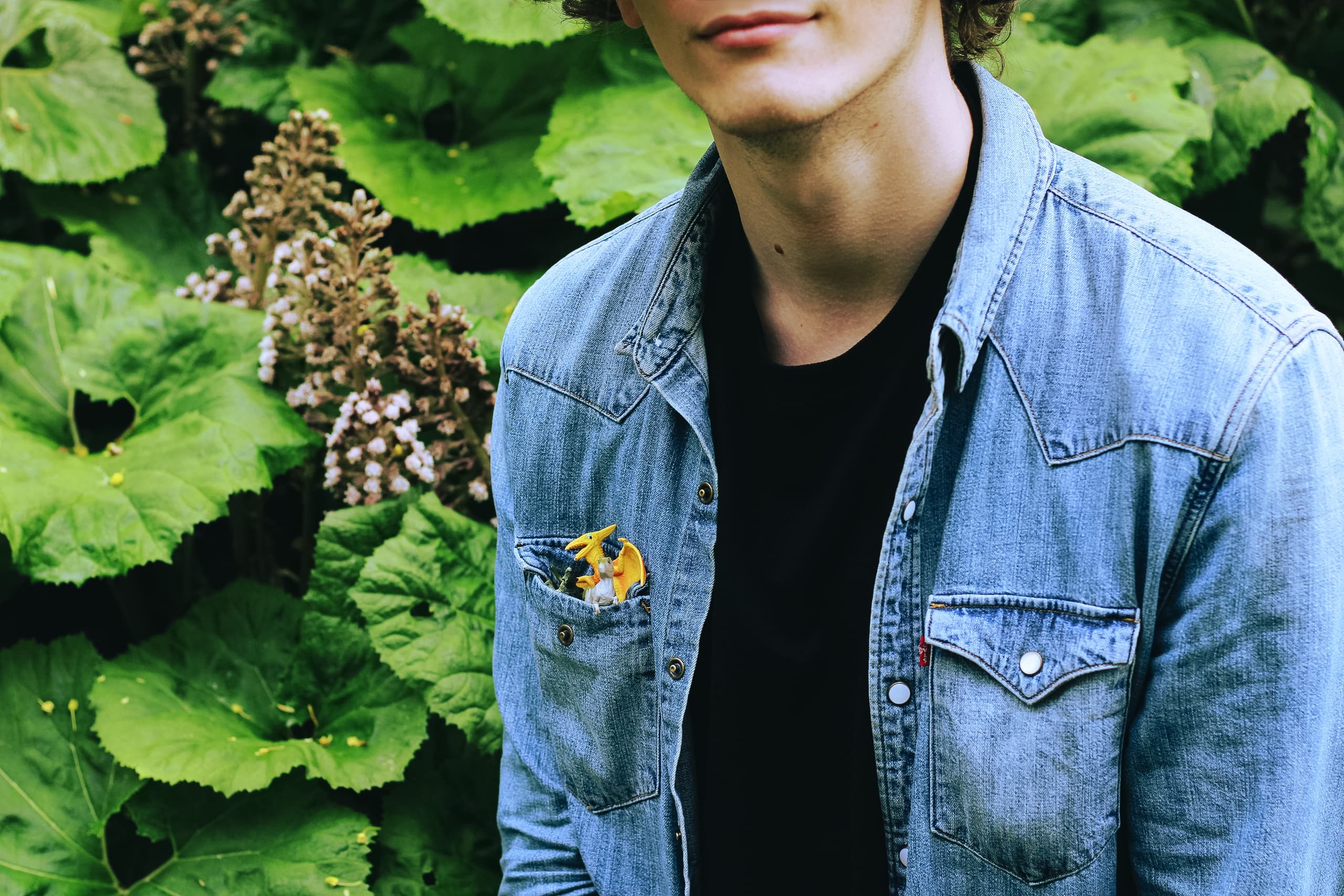 slide-7cd9d8be-fa66-456f-be96-f376caacf902