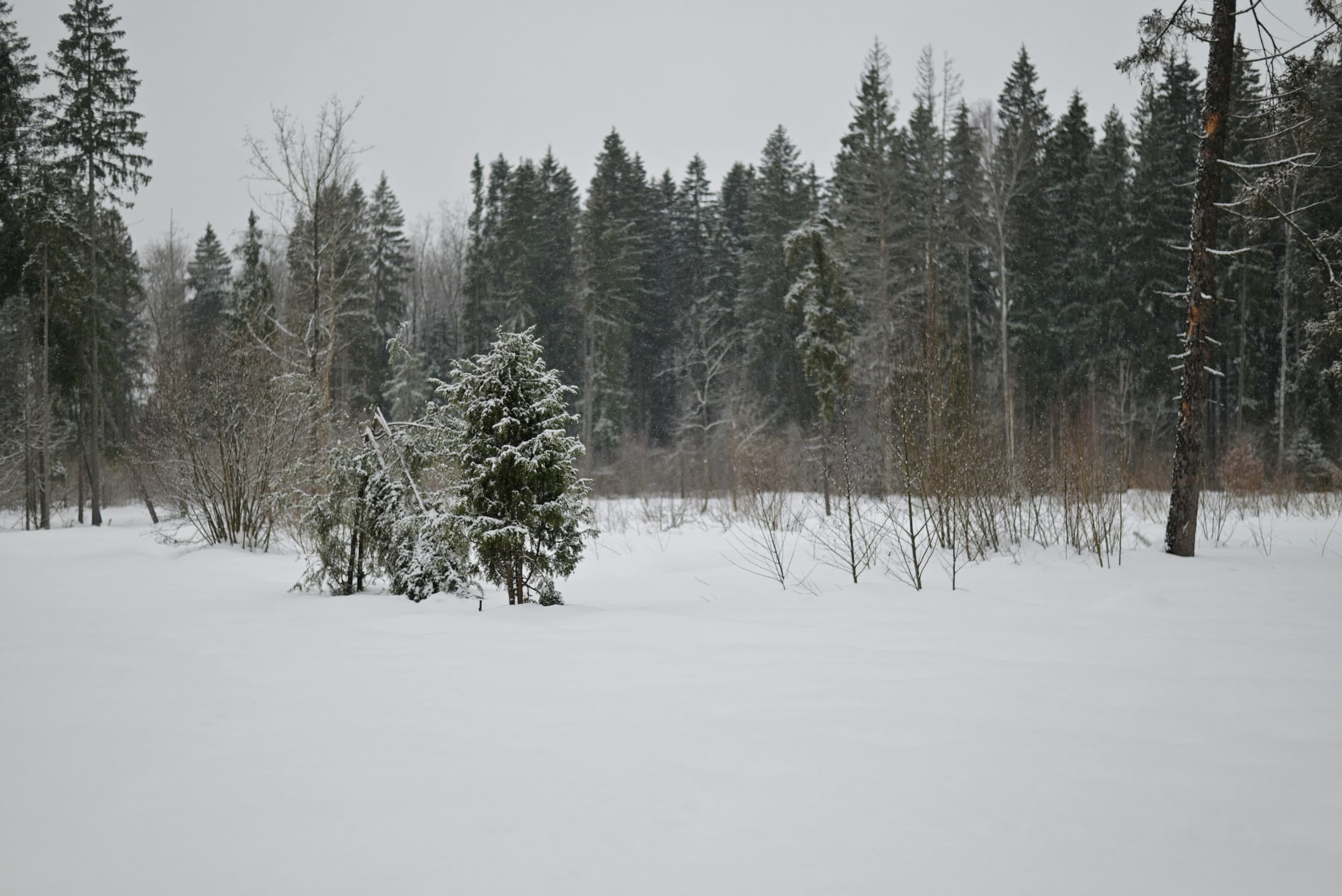 slide-7db38370-da05-4a2d-99a7-85639bb09400