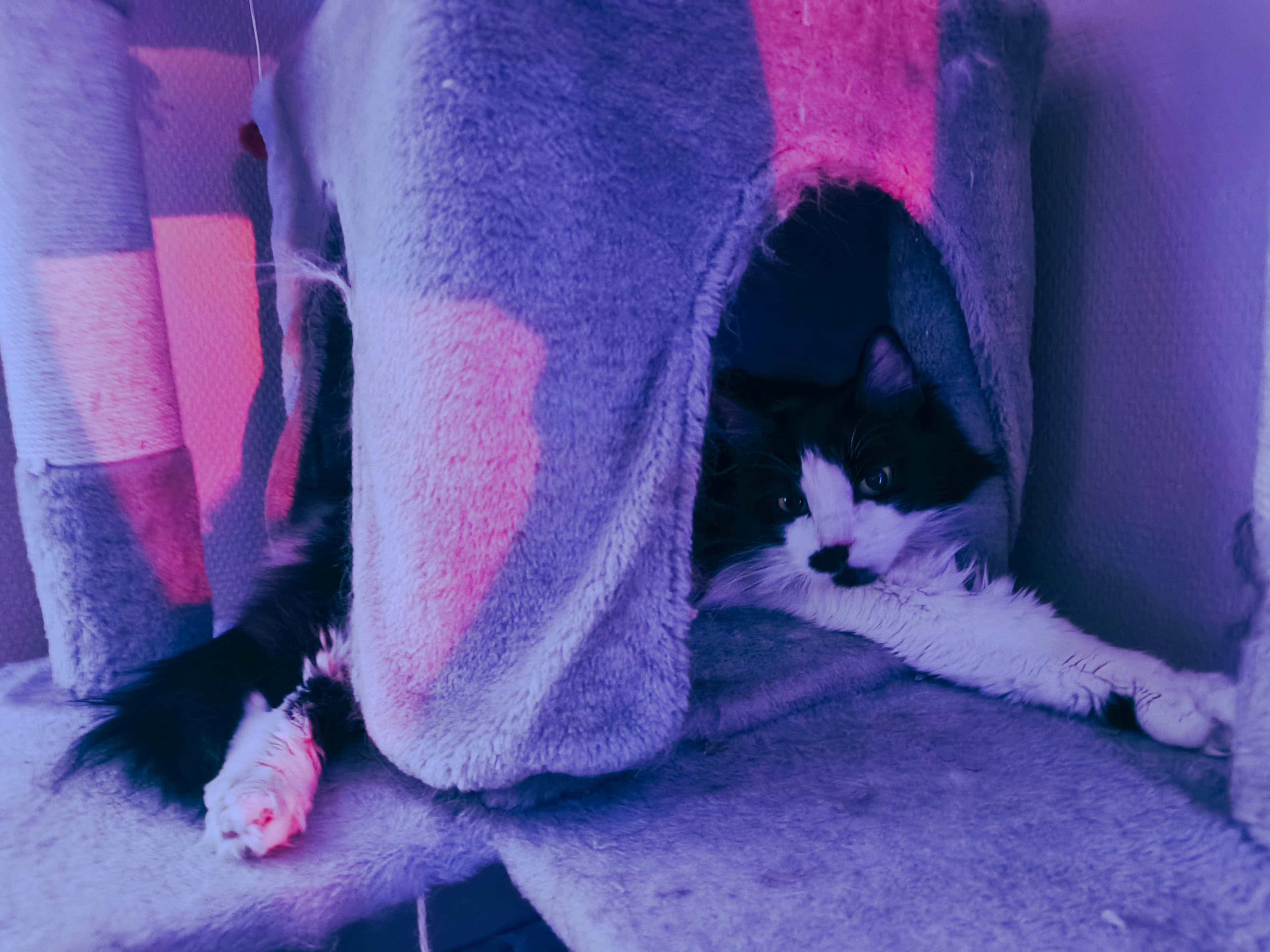 slide-7ea9faf5-33f1-4933-bdbf-03ed897d9736