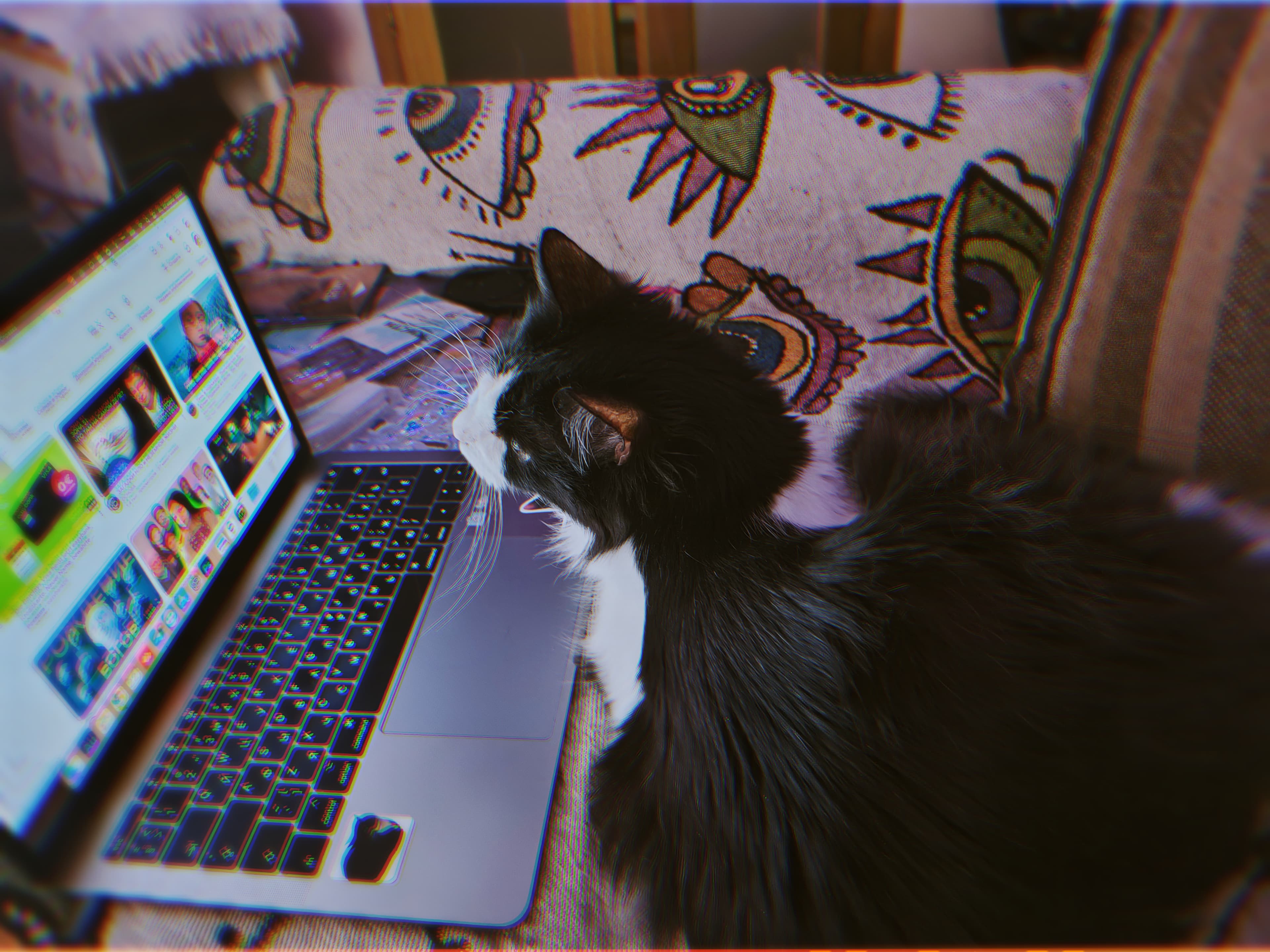 slide-801efc4f-1e16-4bd1-aa16-7dc1abc78e83