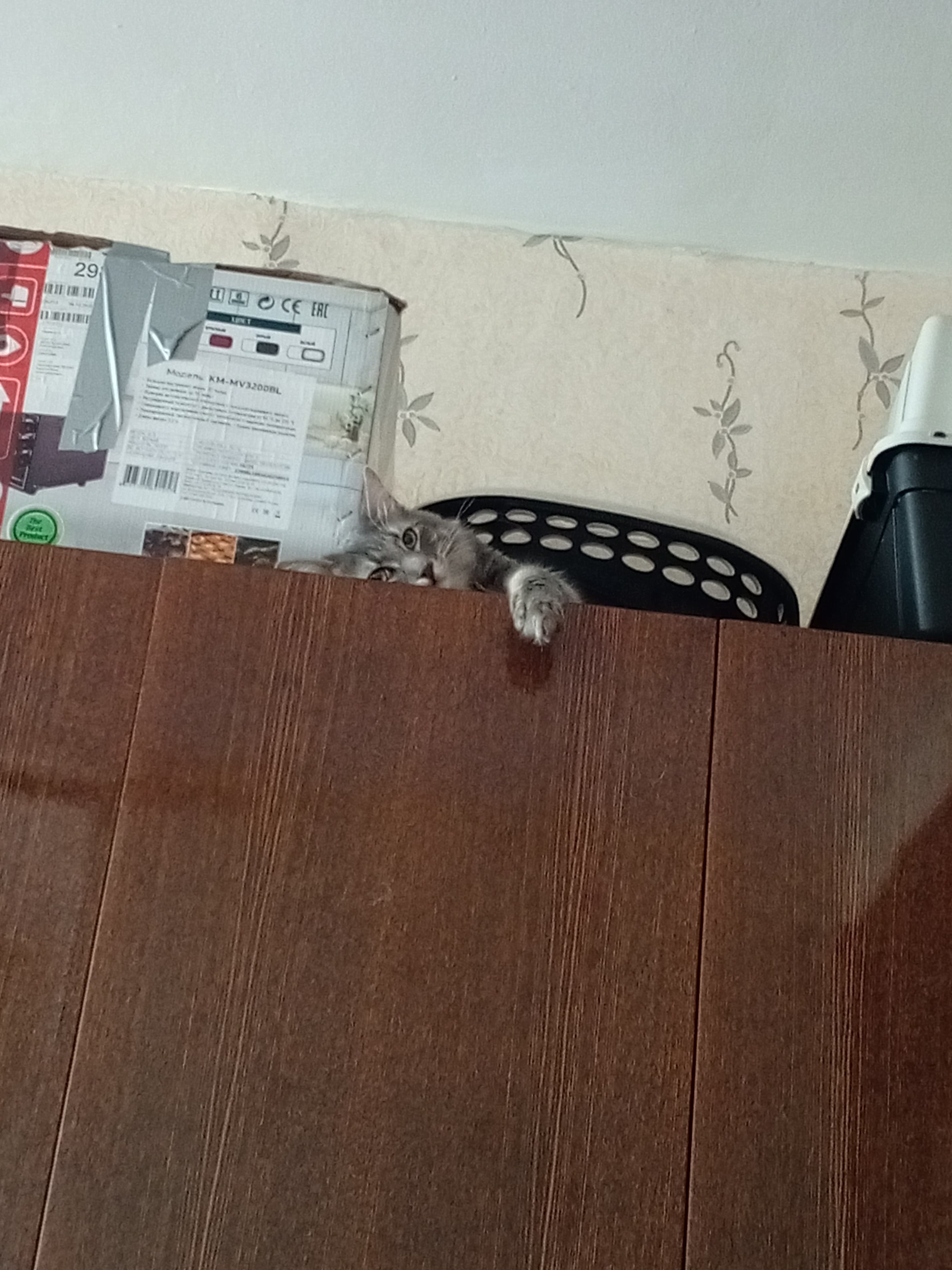 slide-81979cfd-4dfb-4bf8-9abc-67565b14ec68