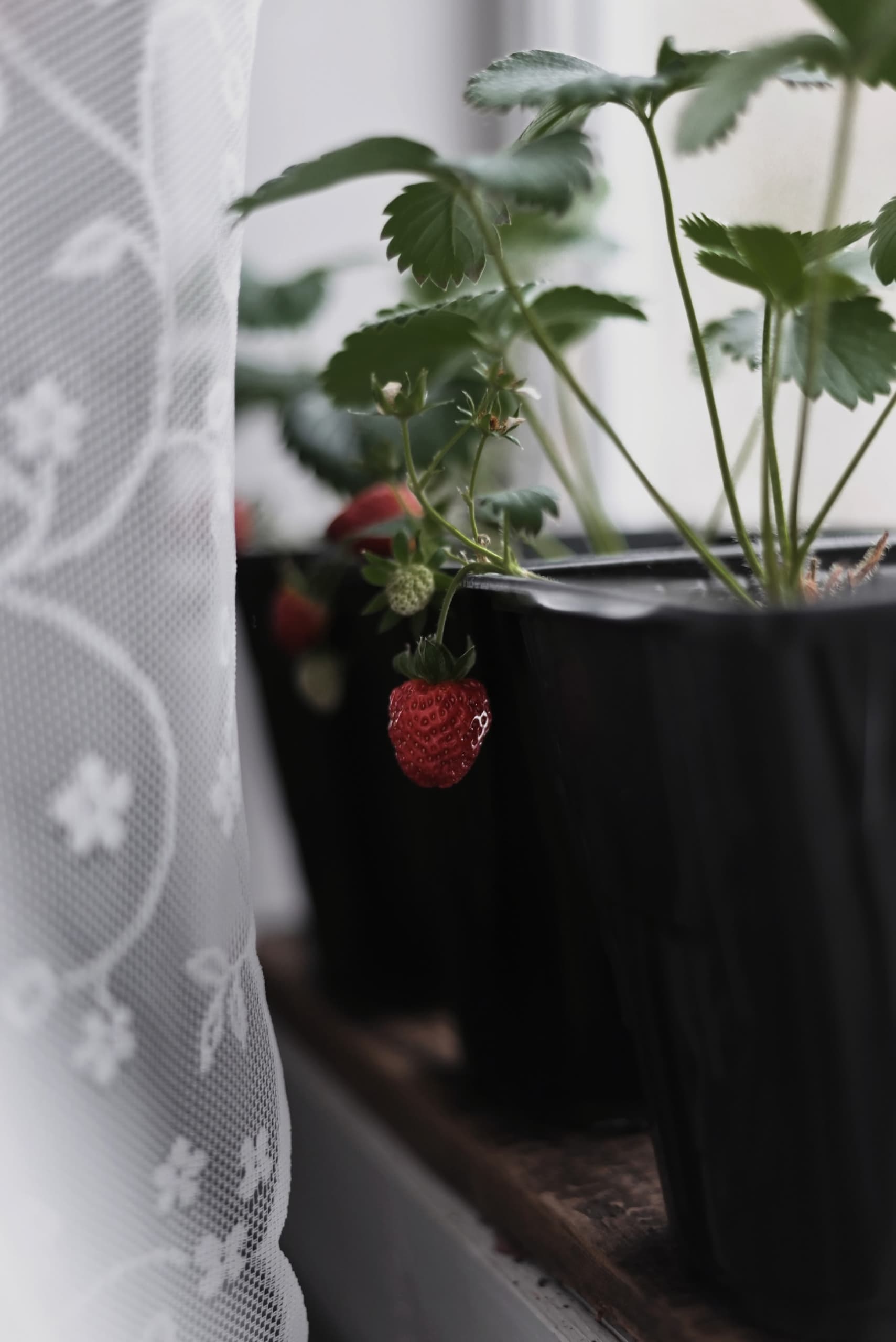 slide-81ae61f7-48cc-4fec-83c1-3664fbc1a6c2