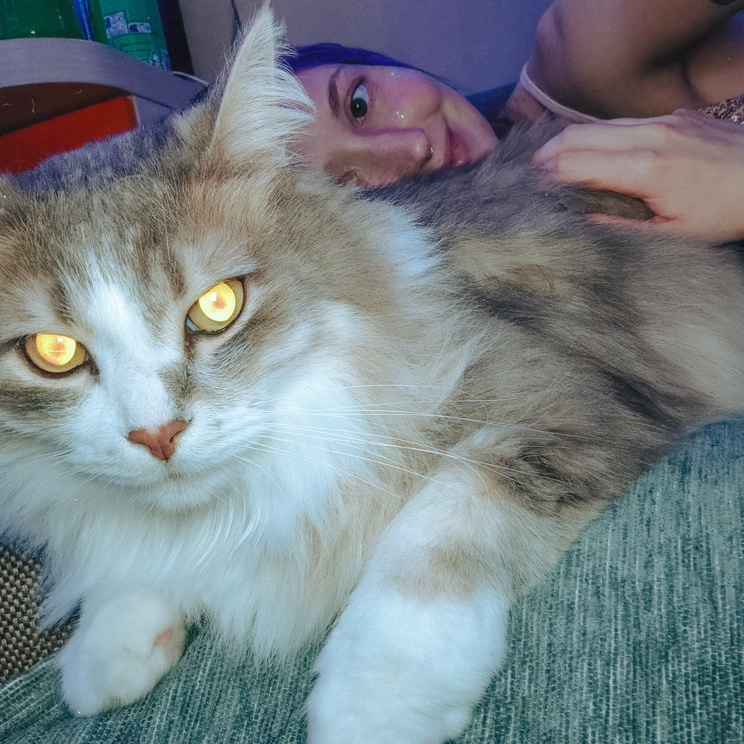 slide-8237b474-f11e-40f6-9bf6-471d3564d7bf