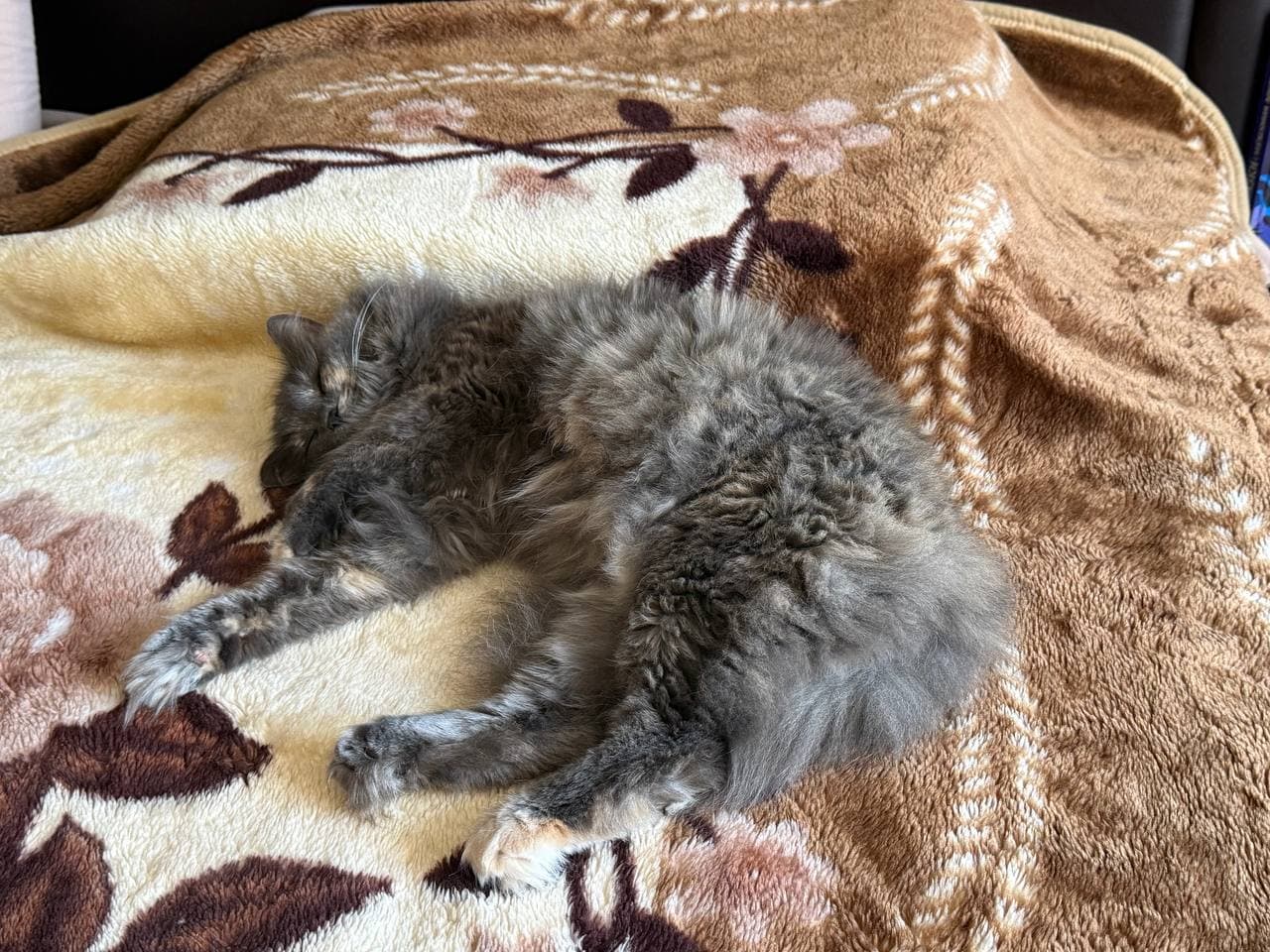 slide-82968df6-6495-4c72-b6f9-fda4366f7210